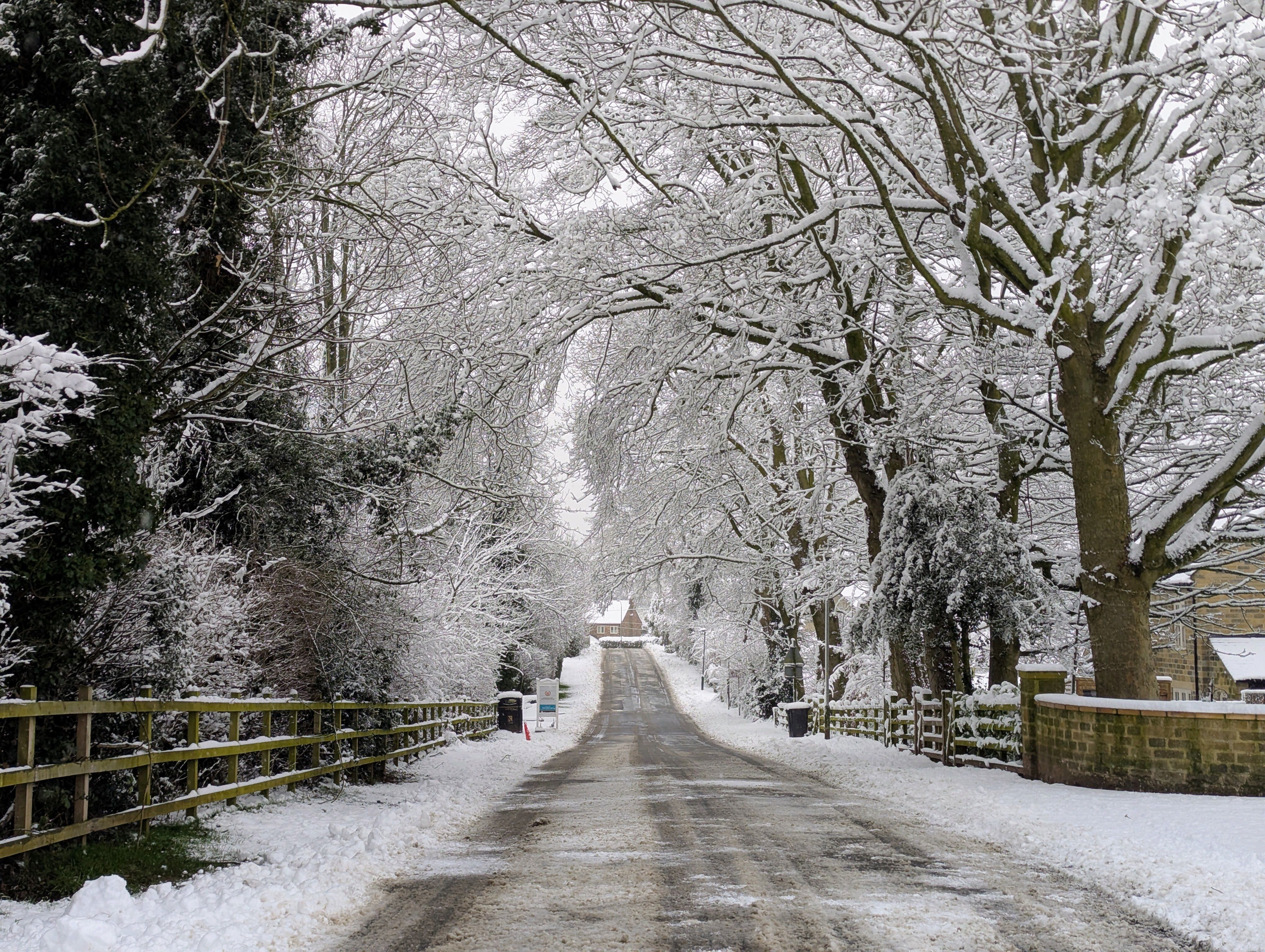 Picturesque snowy lane in winter, Scotton, UK with trees lining the road.
