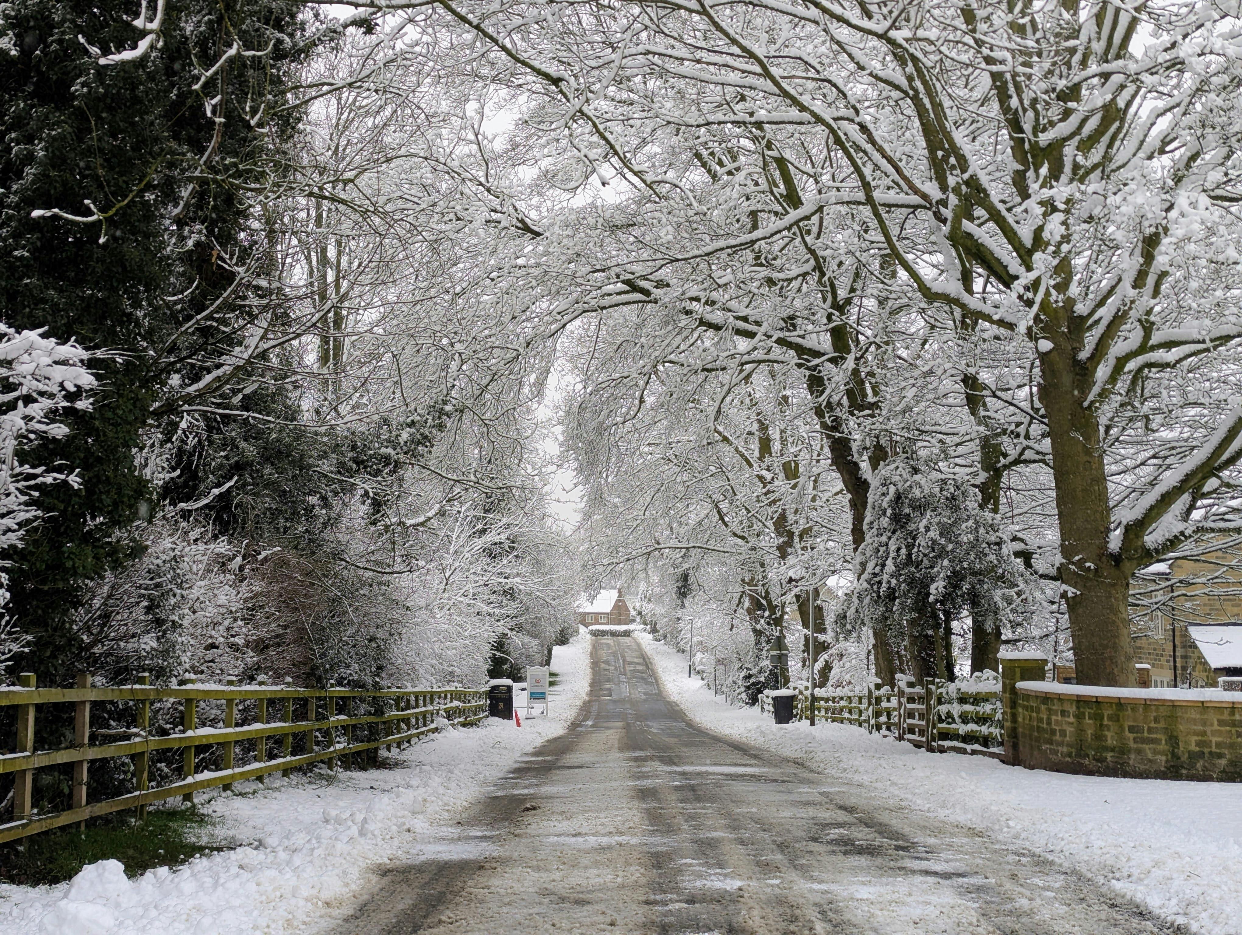 Snowy Winter Scene in Scotton, England · Free Stock Photo, image size:4080x3072