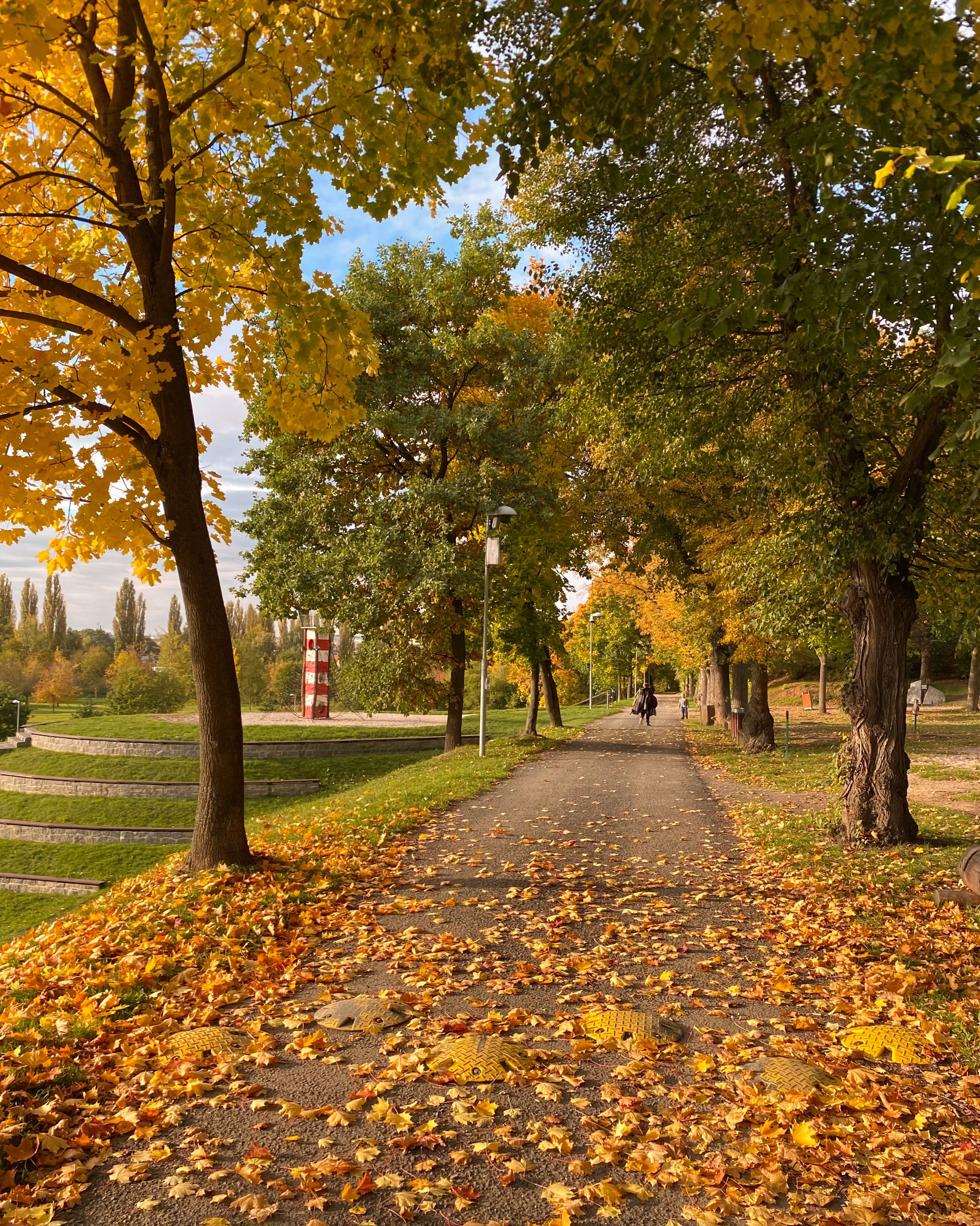 Scenic Autumn Pathway with Fallen Leaves · Free Stock Photo
