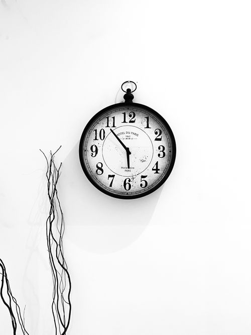 Free Black and white vintage wall clock in minimalist decor with branches. Stock Photo