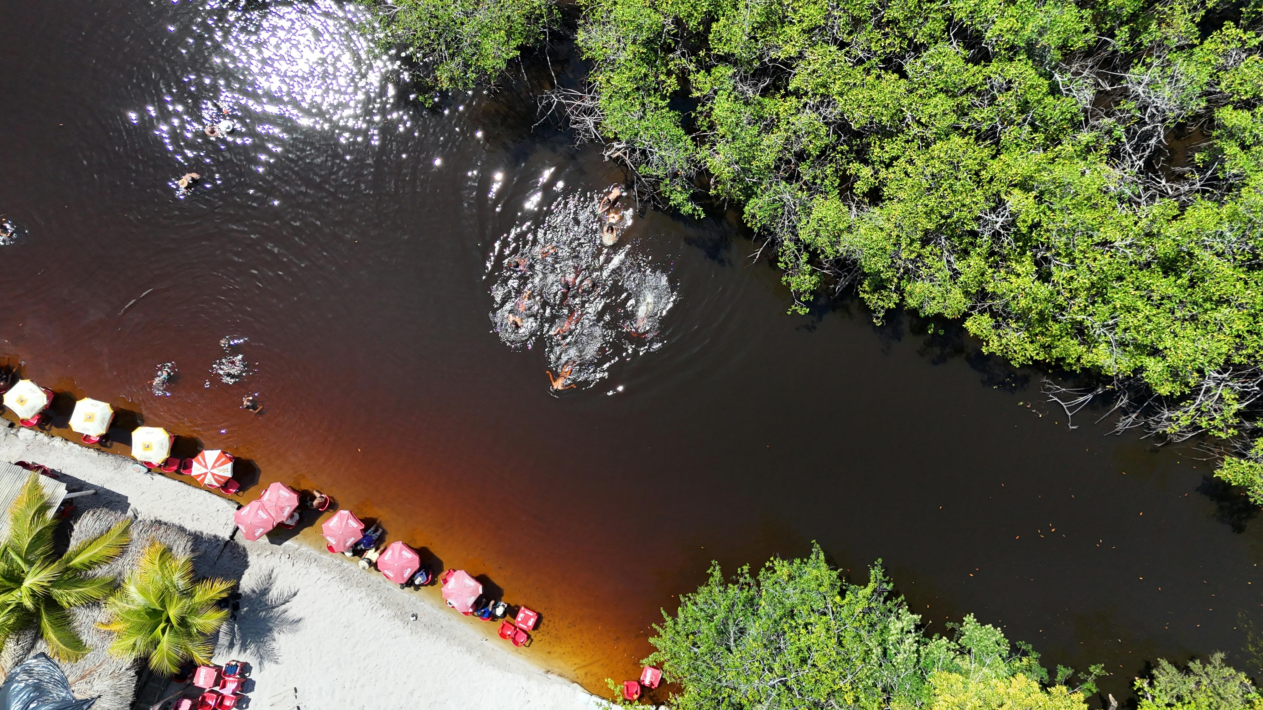 무료 브라질 북동부의 열대 해변 석호를 포착한 매혹적인 항공 사진입니다. 스톡 사진
