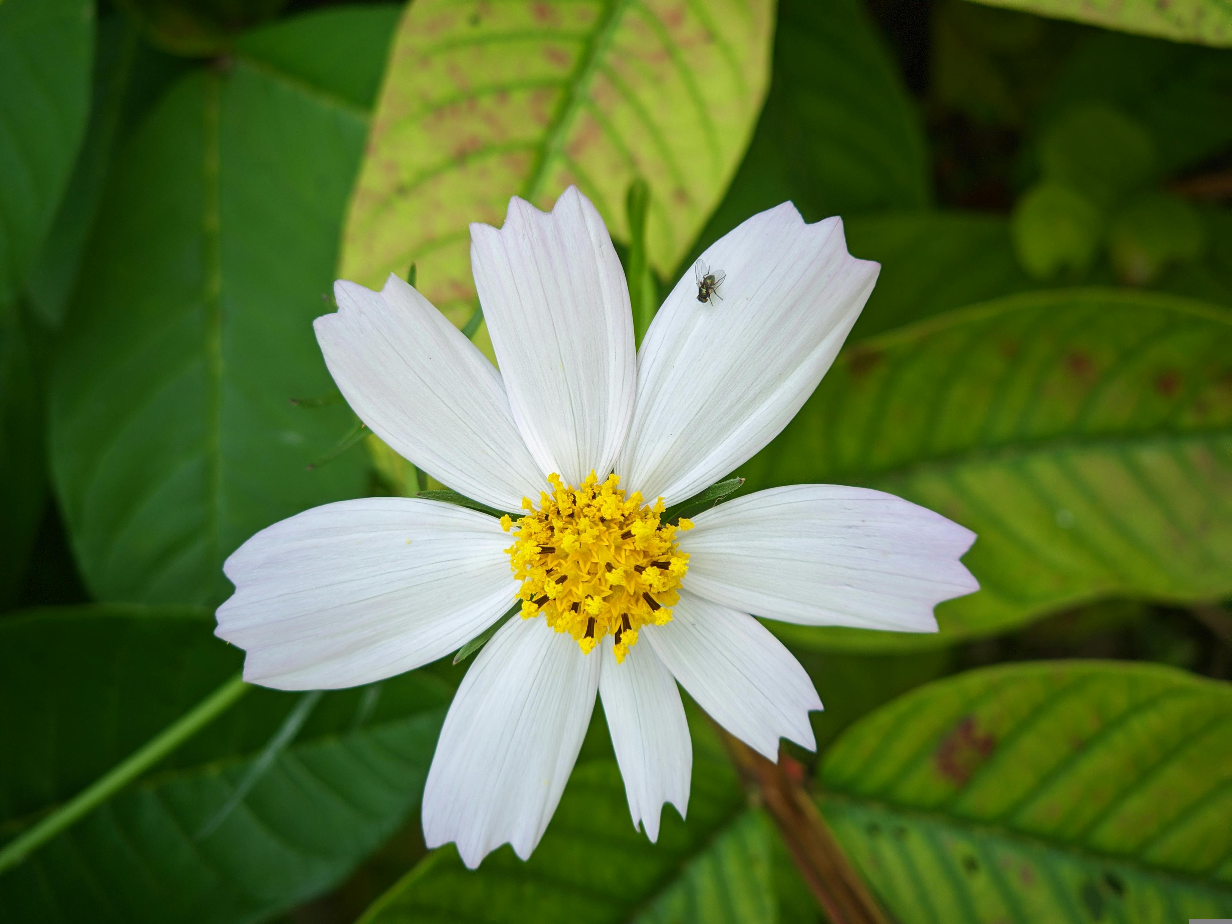 神雲科技 OCP 展示 AI 叢集整合方案，推動資料中心開放與節能革