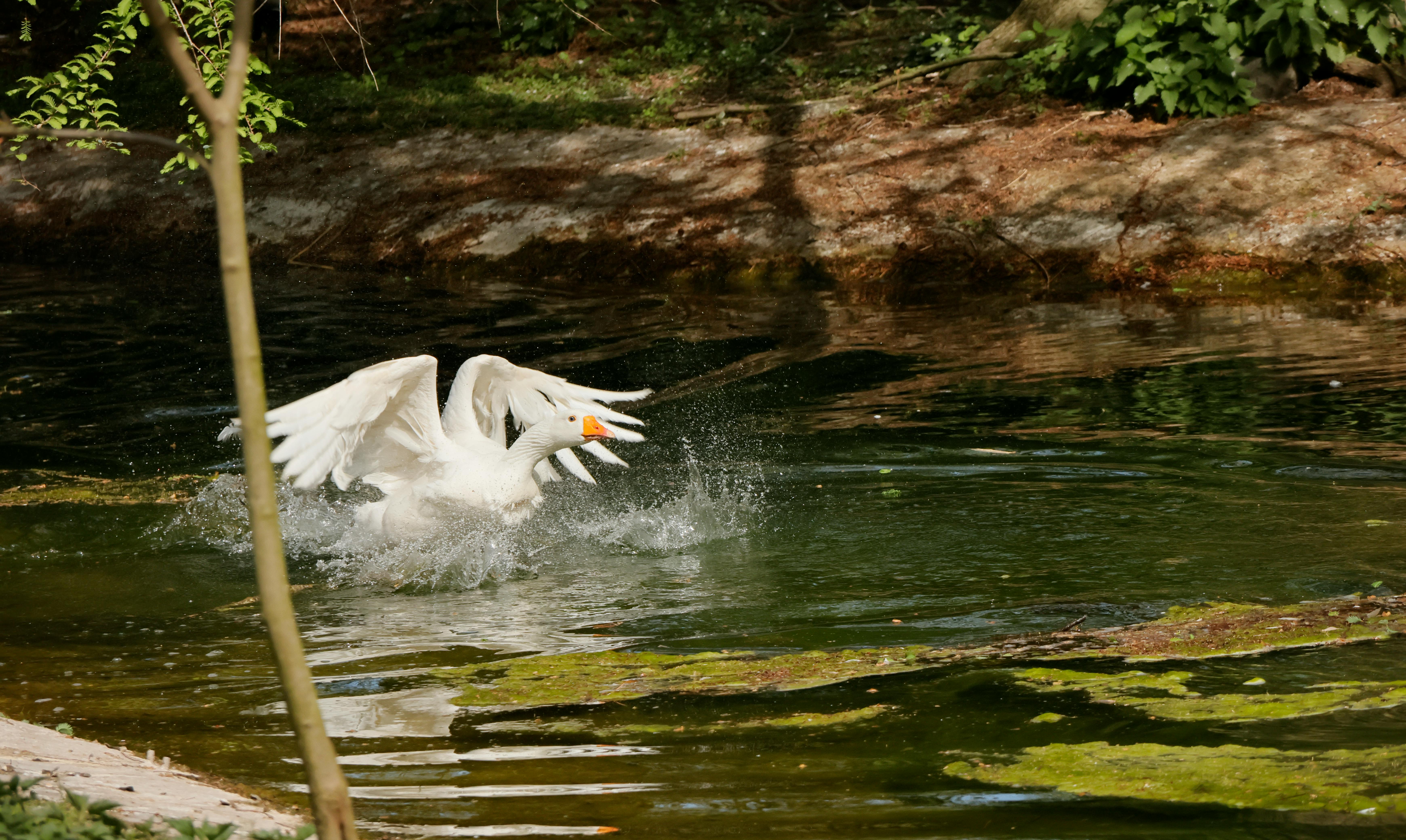 國際事工啟動15天全球代禱活動 聚焦印度教世界和平
