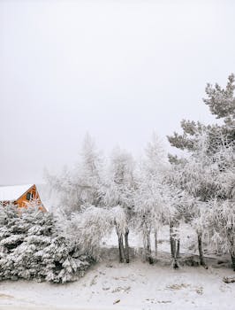 A serene winter scene with snow-covered trees and a quaint cabin under a cloudy sky.