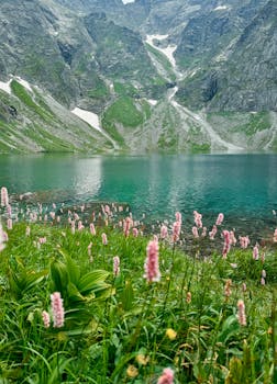 Crystal clear alpine lake surrounded by towering peaks and vibrant wildflowers in the Tatra Mountains.