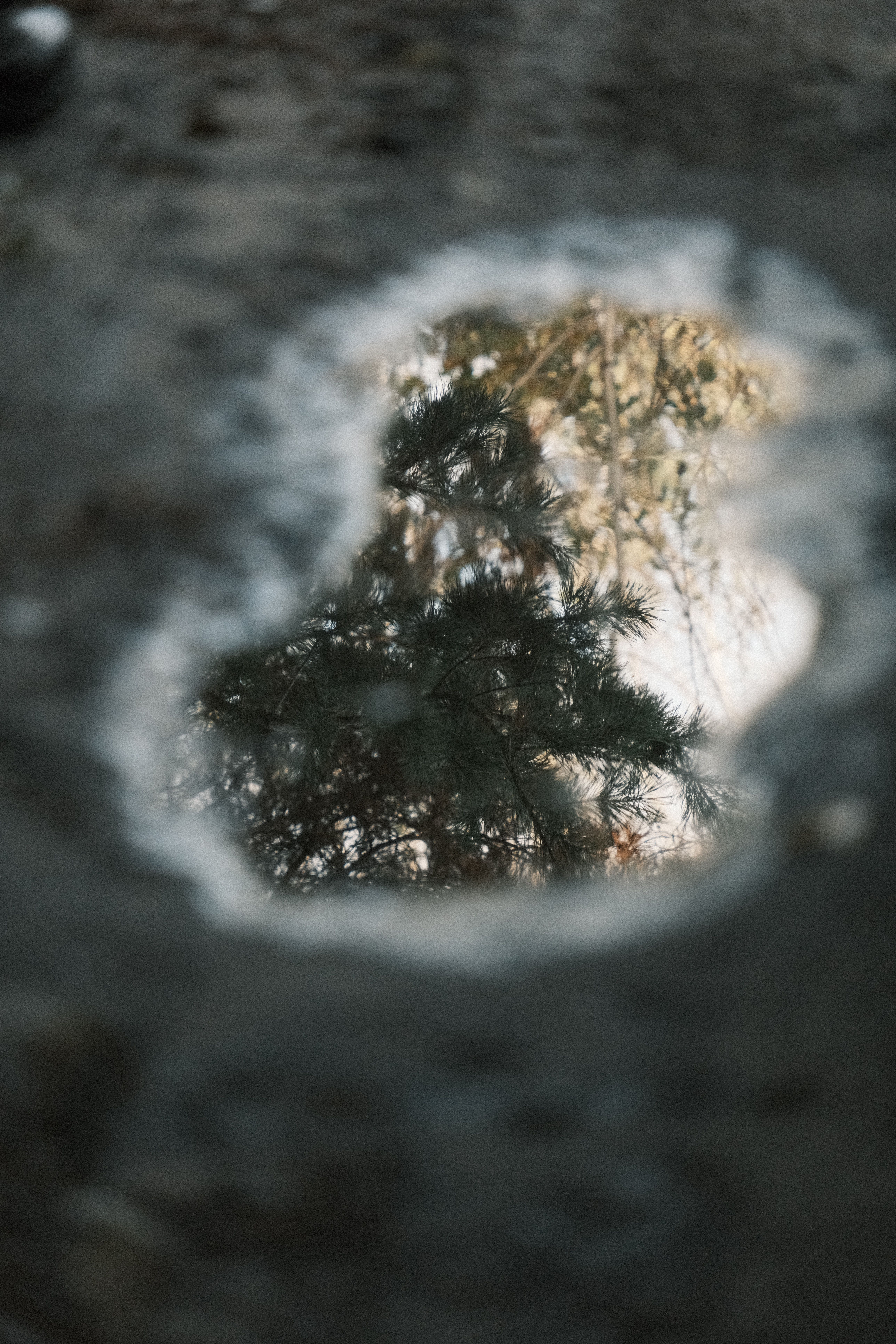 Photo of a Puddle in the Mud · Free Stock Photo
