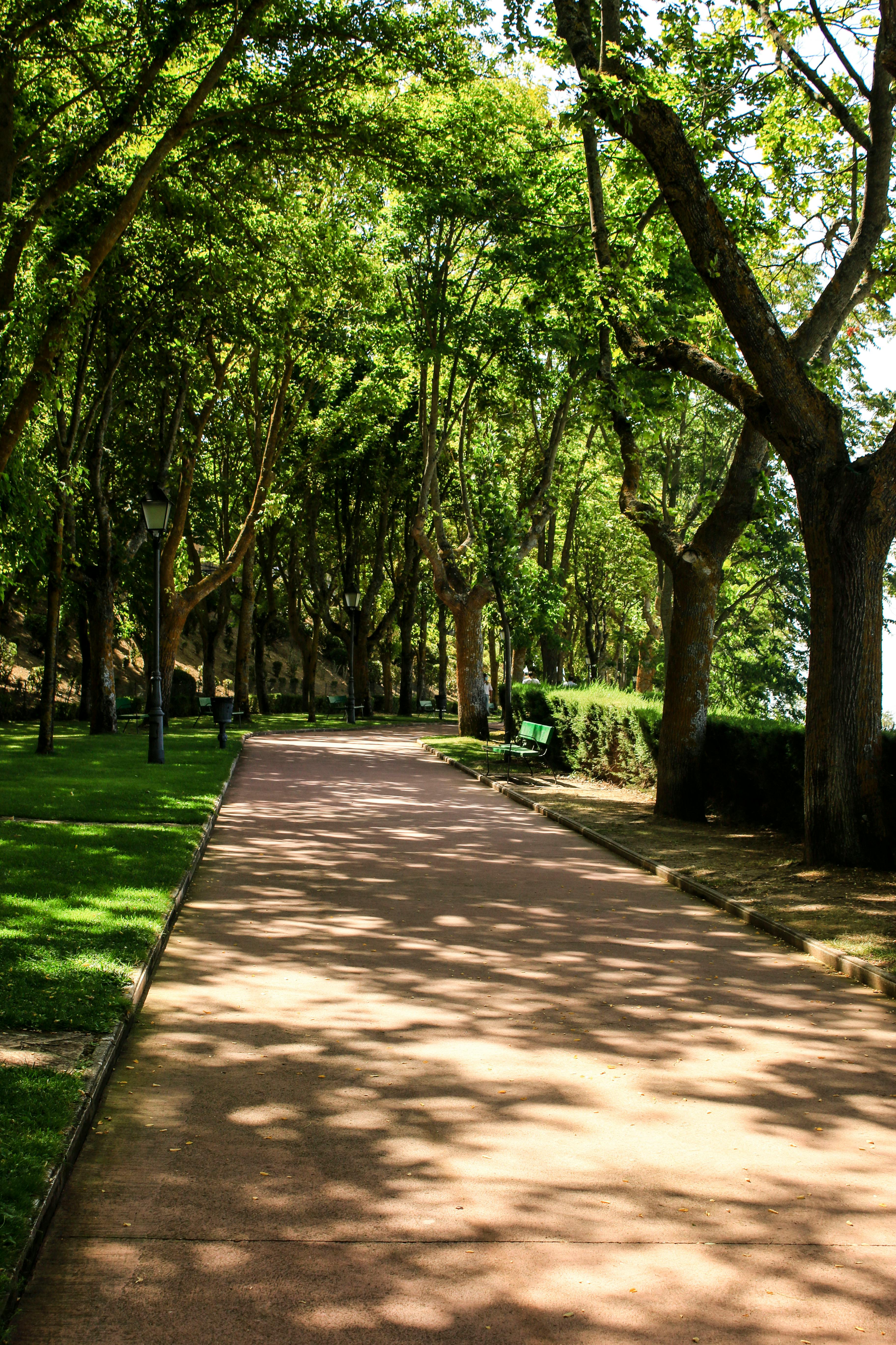 Serene park pathway under lush green trees in Laguardia, Spain, perfect for tranquil walks.
