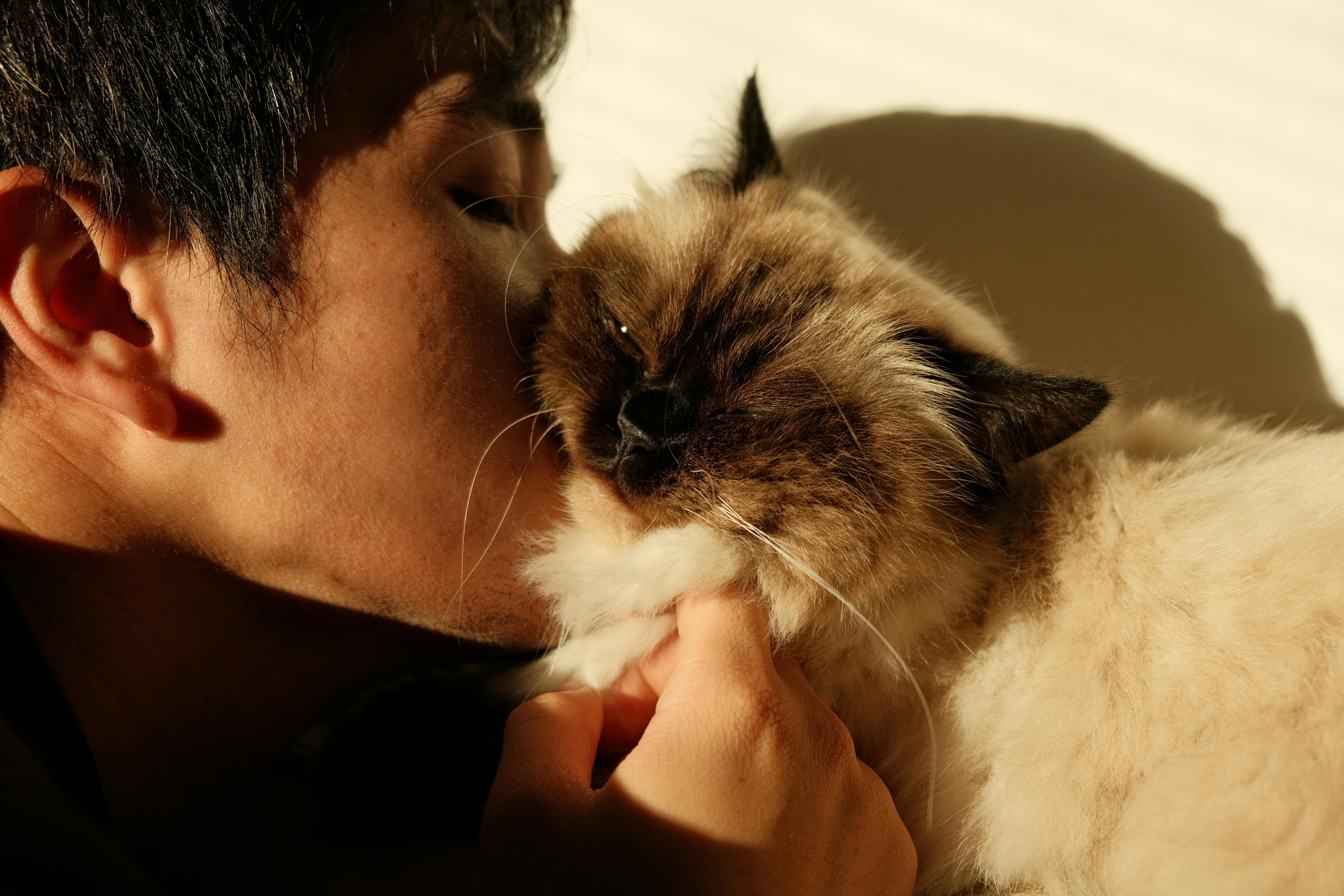 nomes de gato masculino