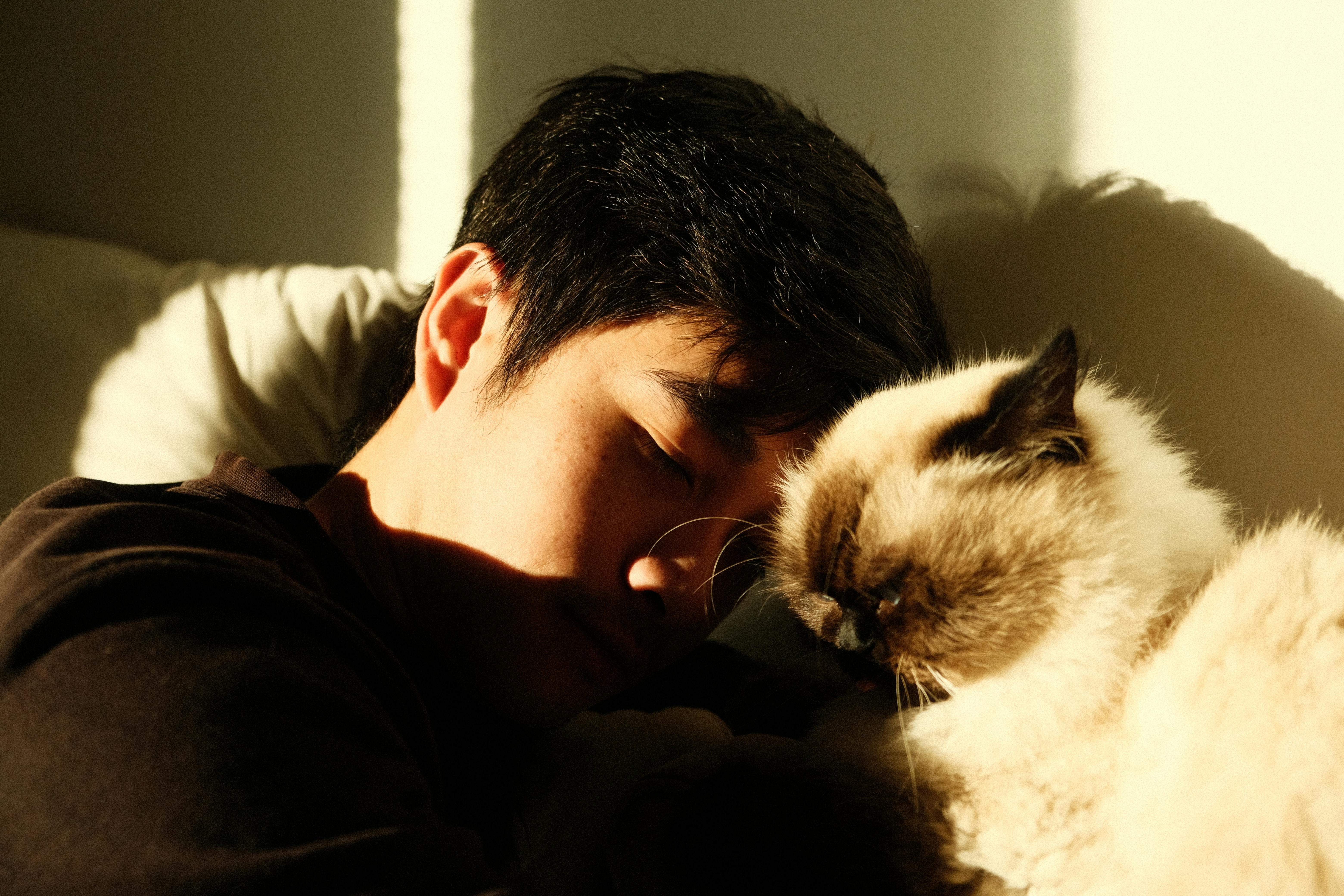 nomes de gato masculino