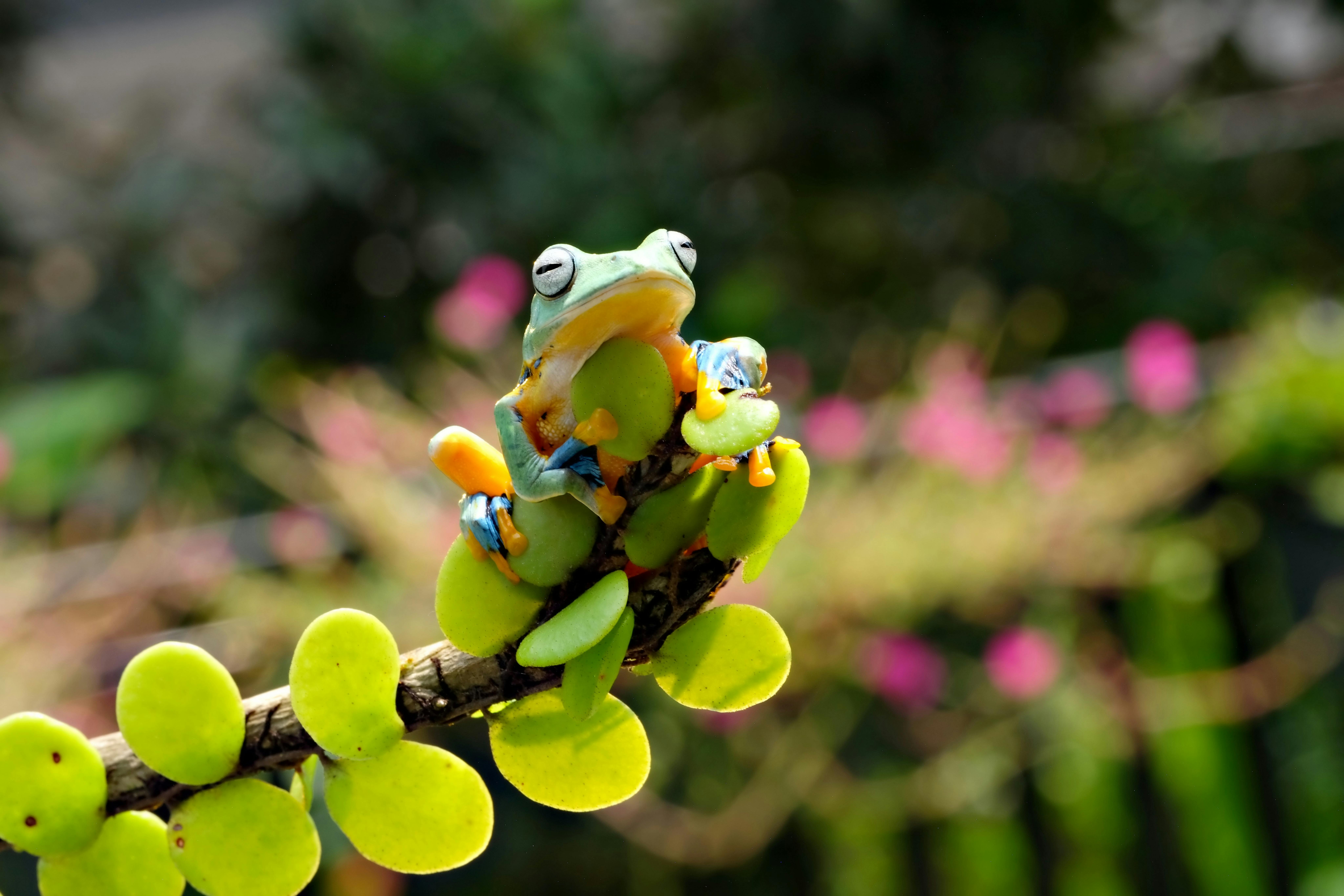 Little Known Psychological Tricks to Stay Motivated Using Environmental Cues