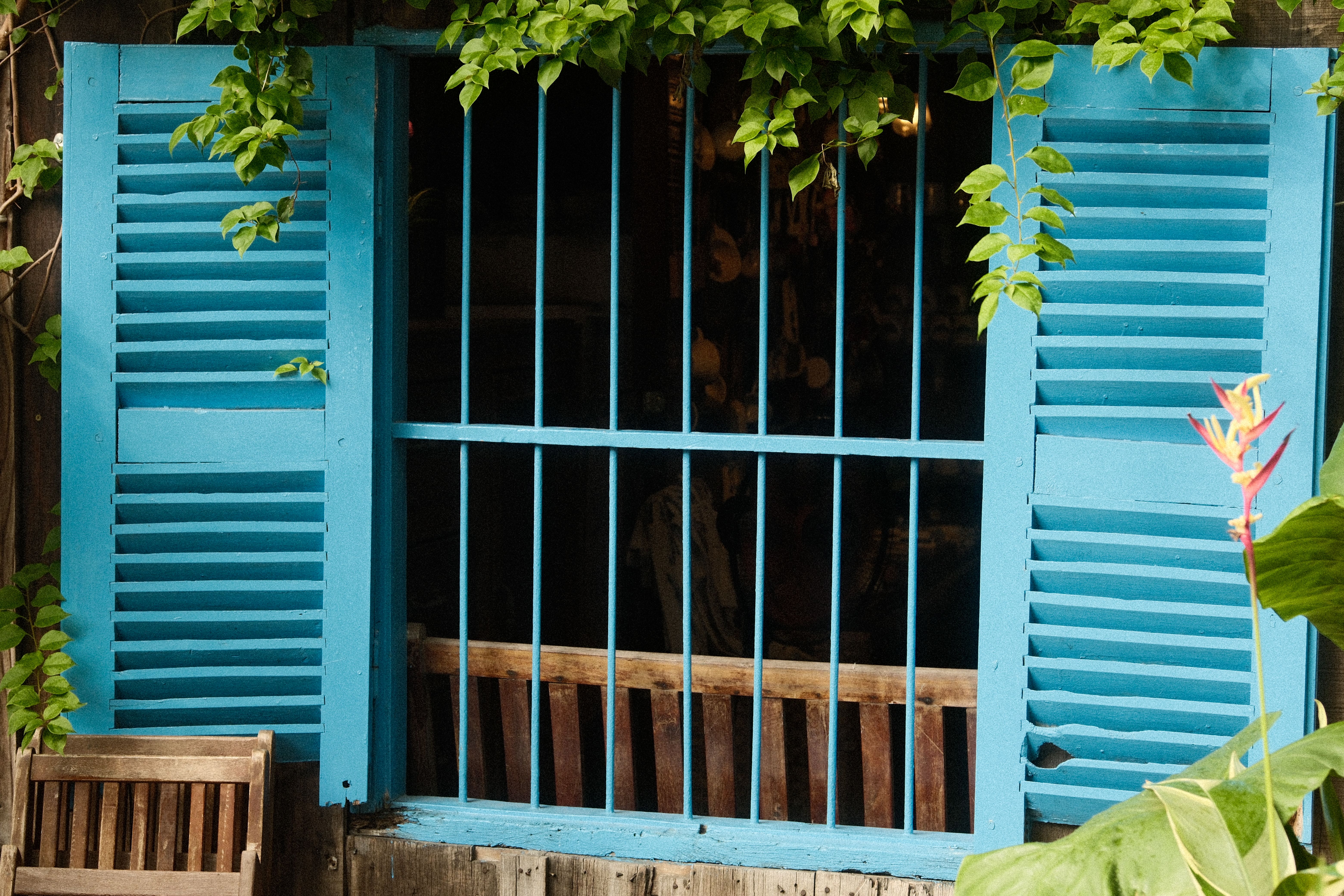 Fence and Decking Painting in St Johns — a decorator at work mid-project