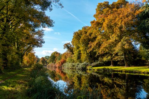 Free A serene autumn landscape with vibrant trees reflecting in a calm river under a clear sky. Stock Photo