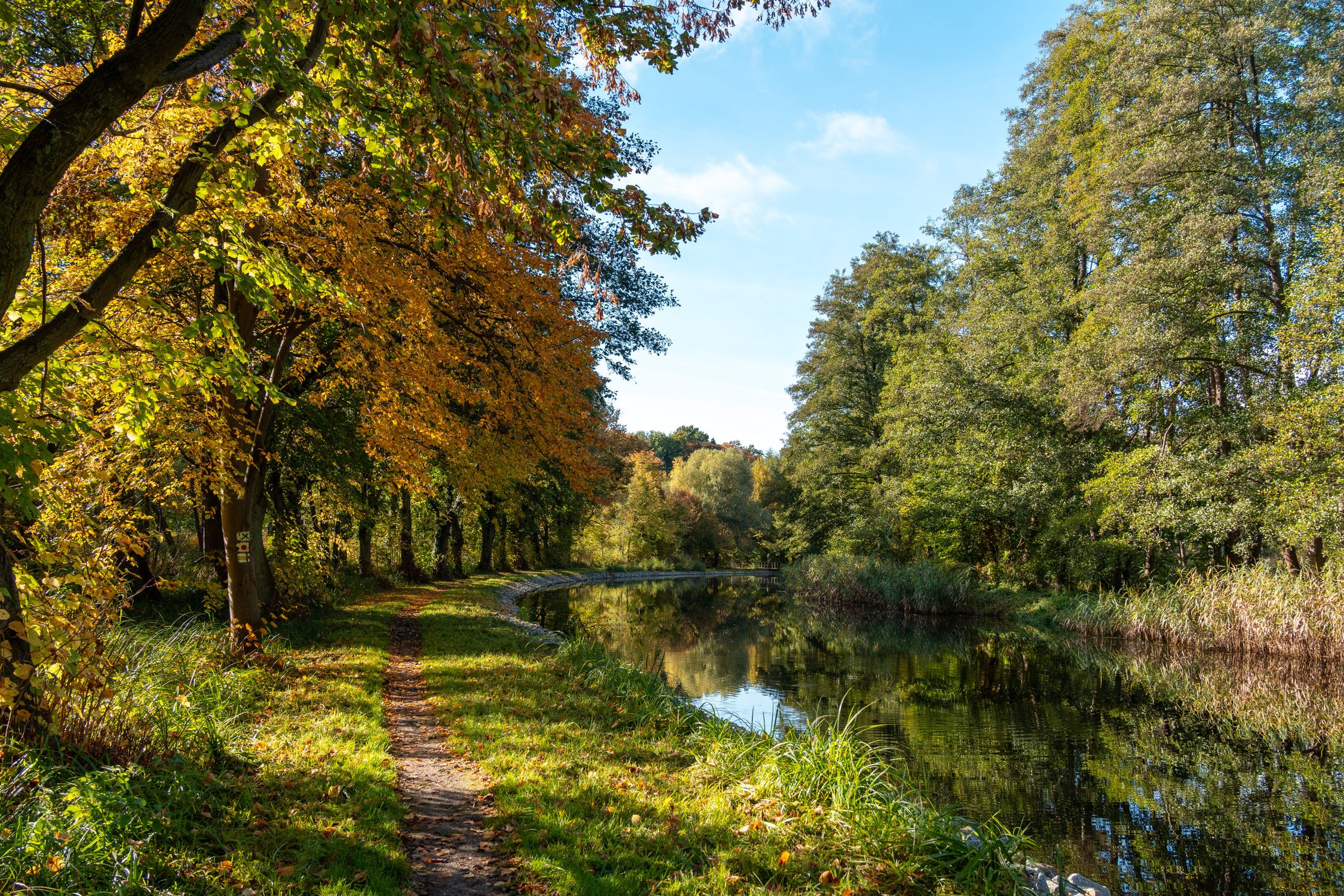 Serene Autumn Landscape with Reflective Pond · Free Stock Photo
