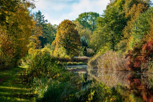 Free A serene autumn scene with colorful trees reflecting in a tranquil pond. Stock Photo