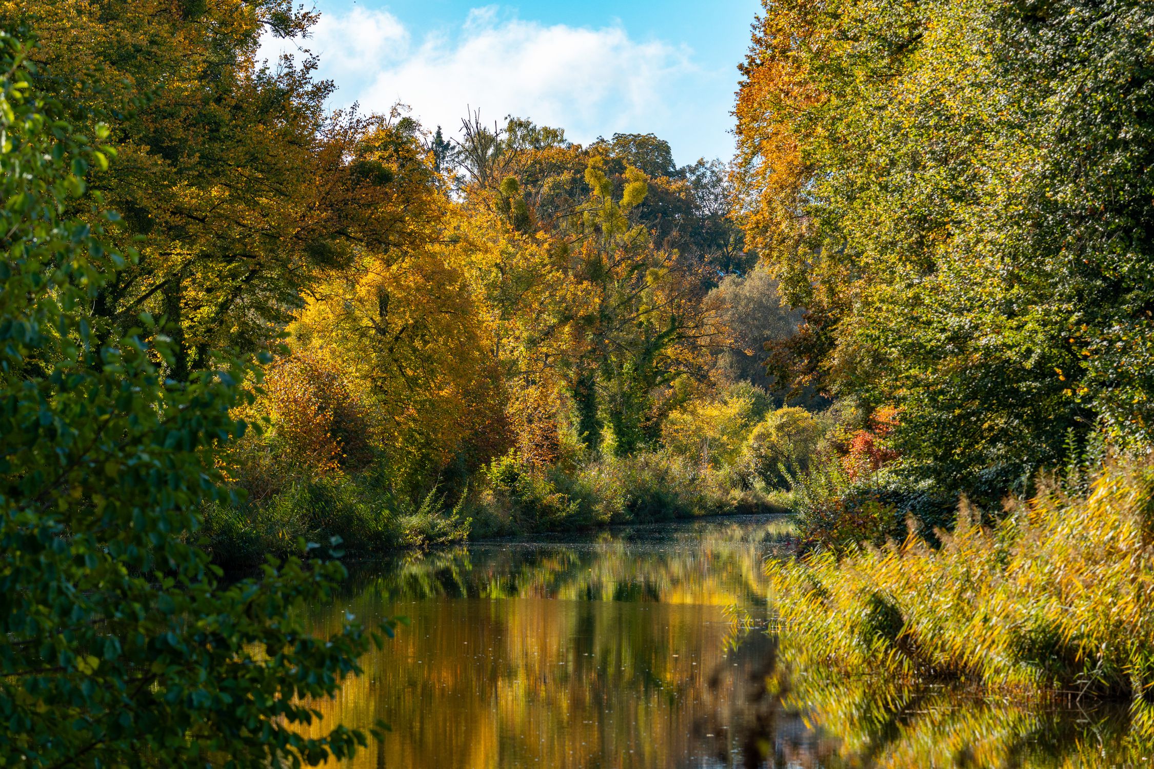 Serene Autumn Landscape by a Calm River · Free Stock Photo