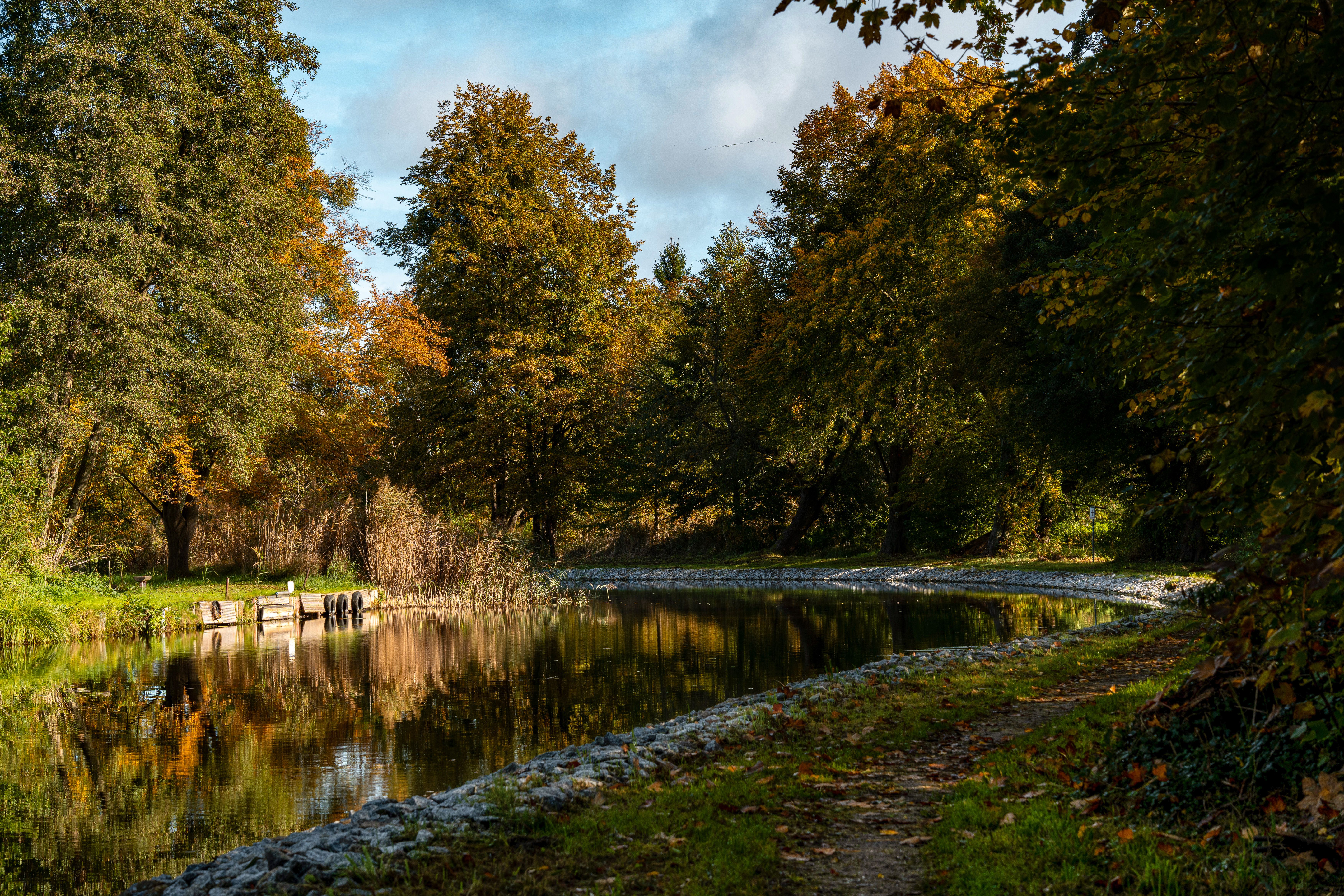 Serene Autumn Reflections in a Forest Pond · Free Stock Photo