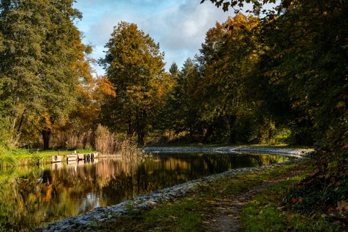Free Tranquil autumn scene with trees reflecting in a calm pond, surrounded by vibrant fall foliage. Stock Photo