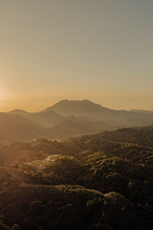 Free Aerial view of a tranquil mountain landscape with lush forest at sunrise, creating a peaceful atmosphere. Stock Photo