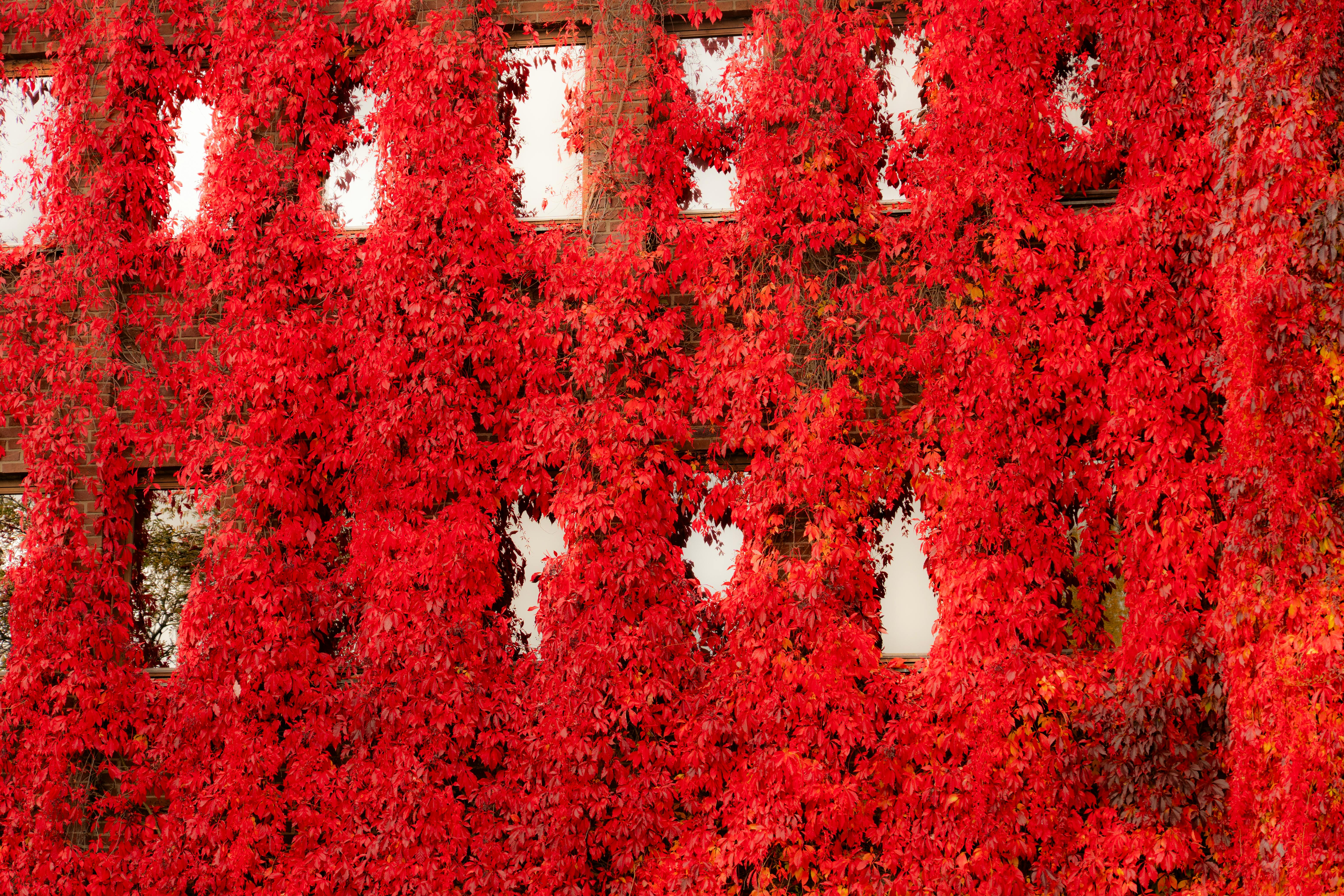 Unraveling the **Vanishing Hitchhiker**: Exploring Urban Legends