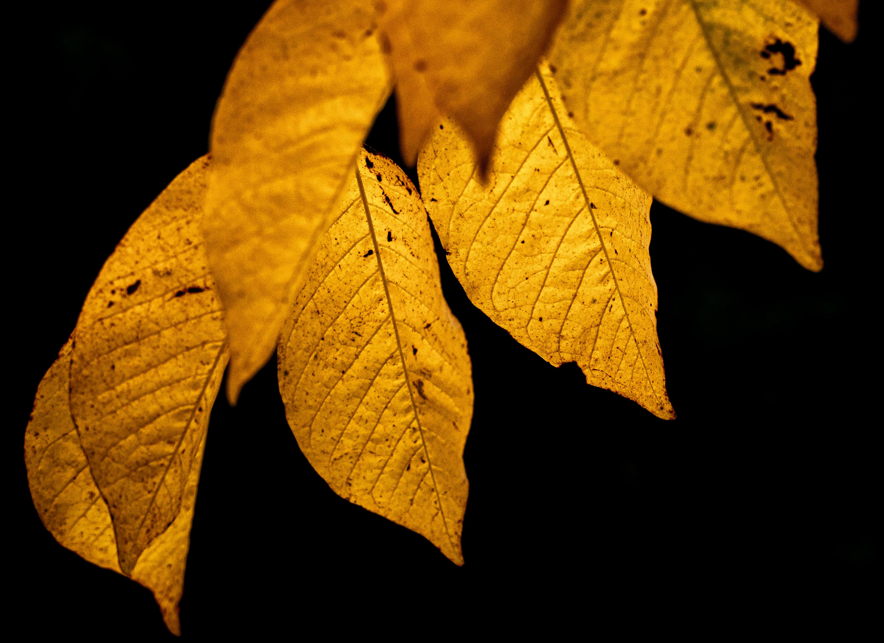 生活：以色列人質揭露囚禁黑暗真相：孤立無光的生存掙扎