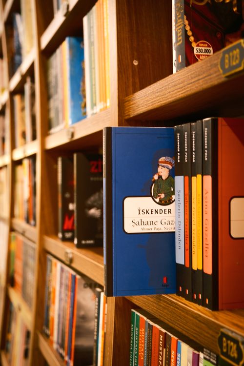Free Capture of vibrant books displayed on wooden shelves in a library setting, evoking a love for literature. Stock Photo