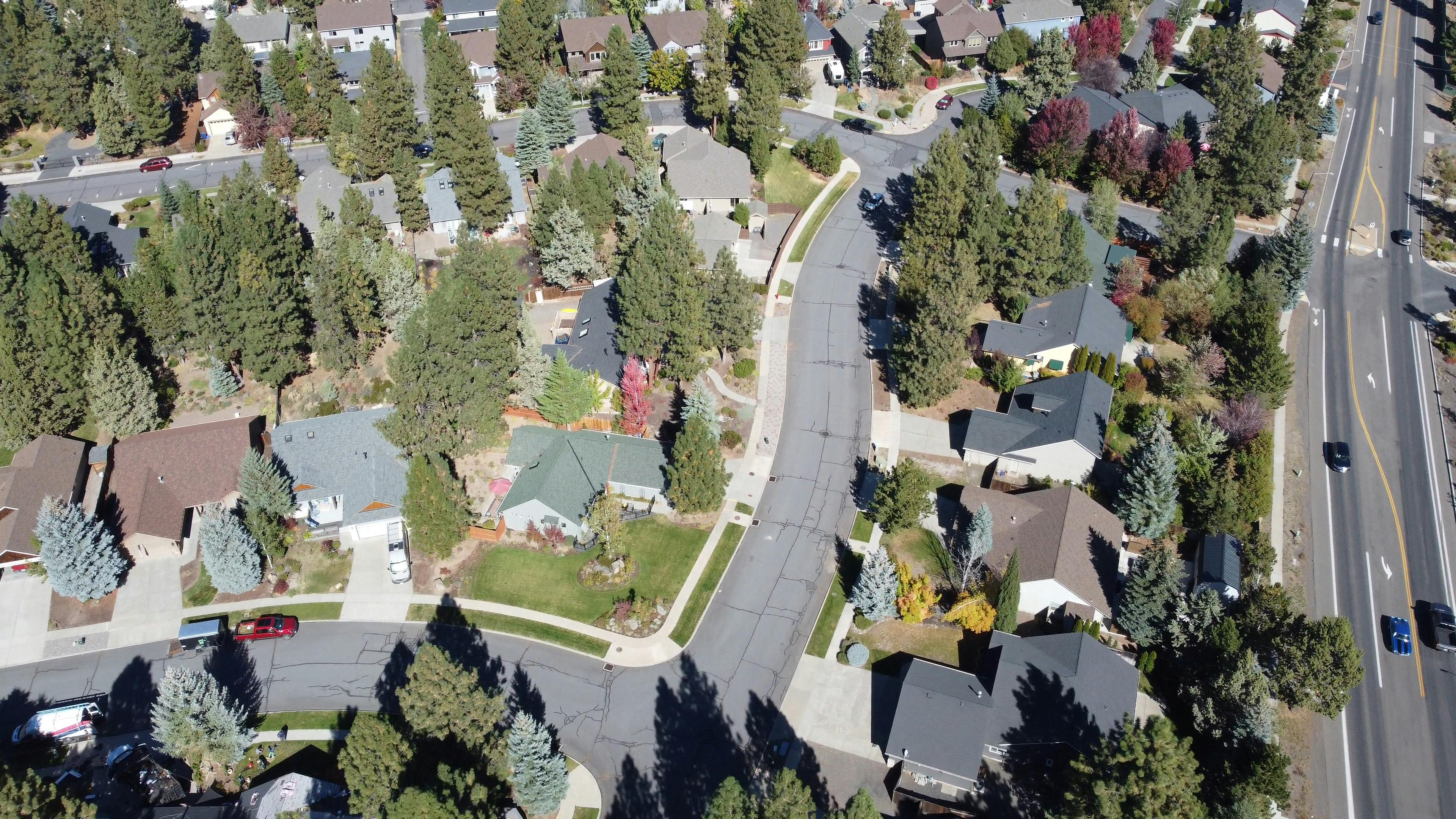 Long Island Pest Calendar 2026: Month-by-Month Guide for Homeowners