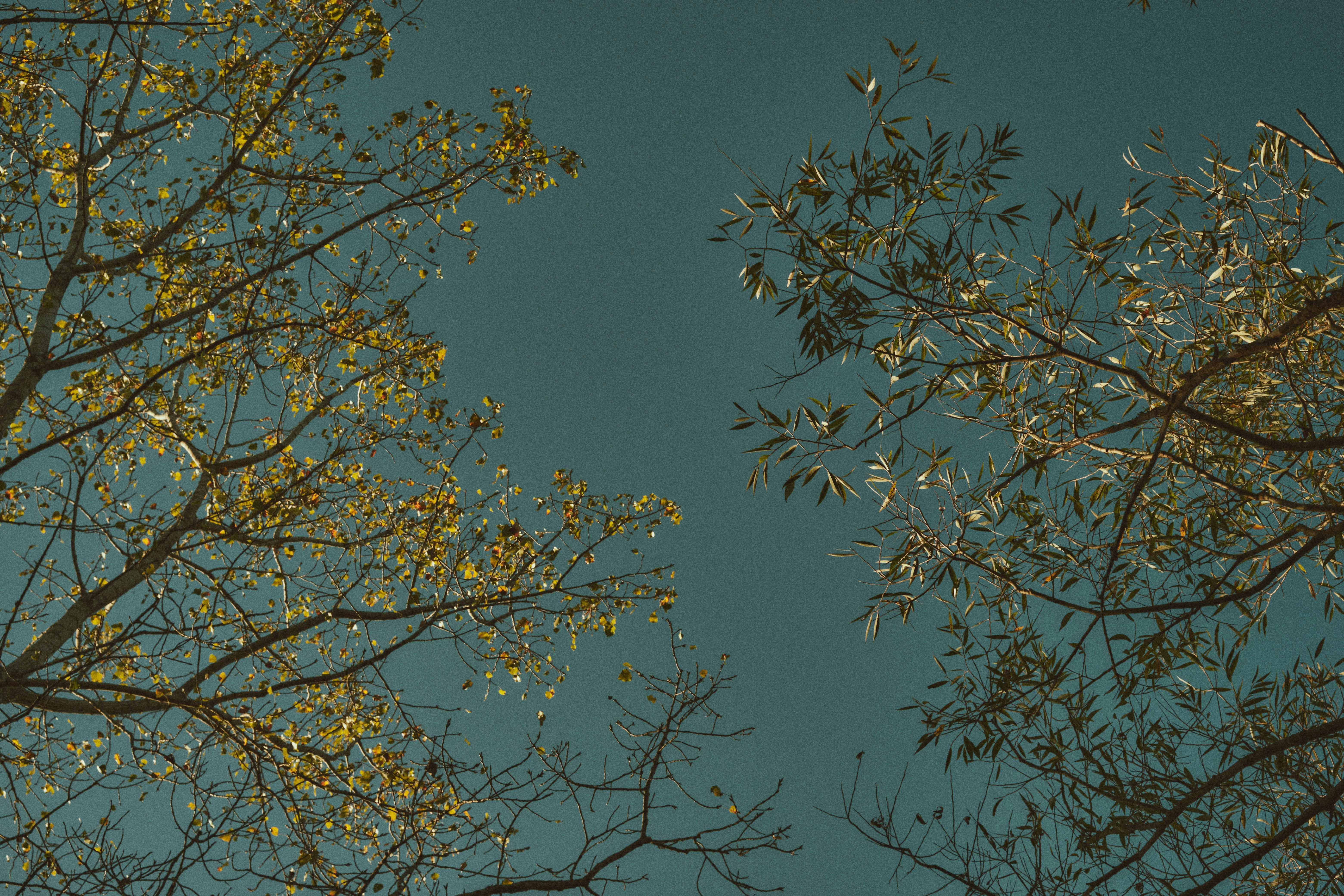 文哥分享生活美學：天空照三千天，十年情不散的感動故事