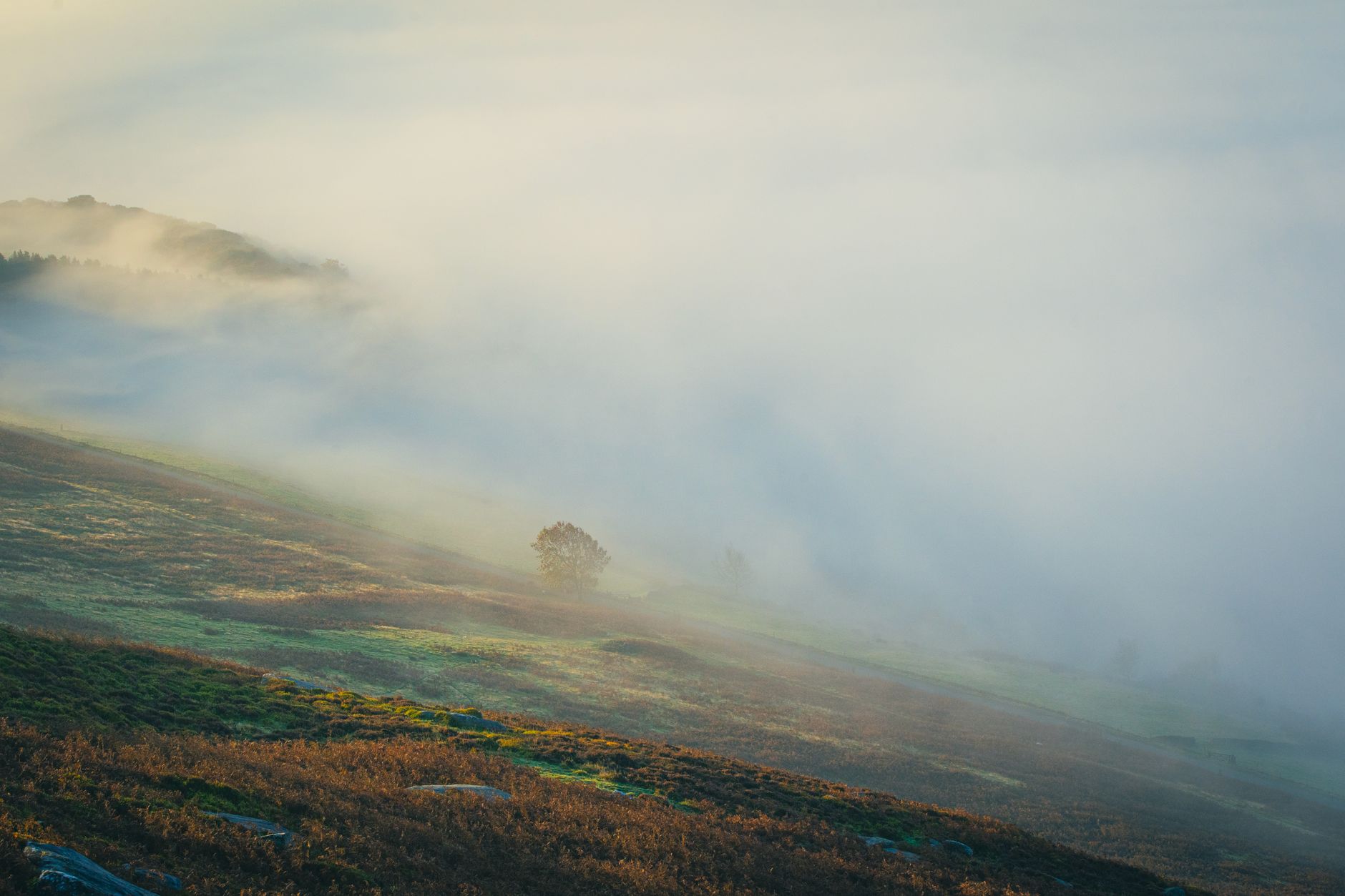 Misty moorland morning