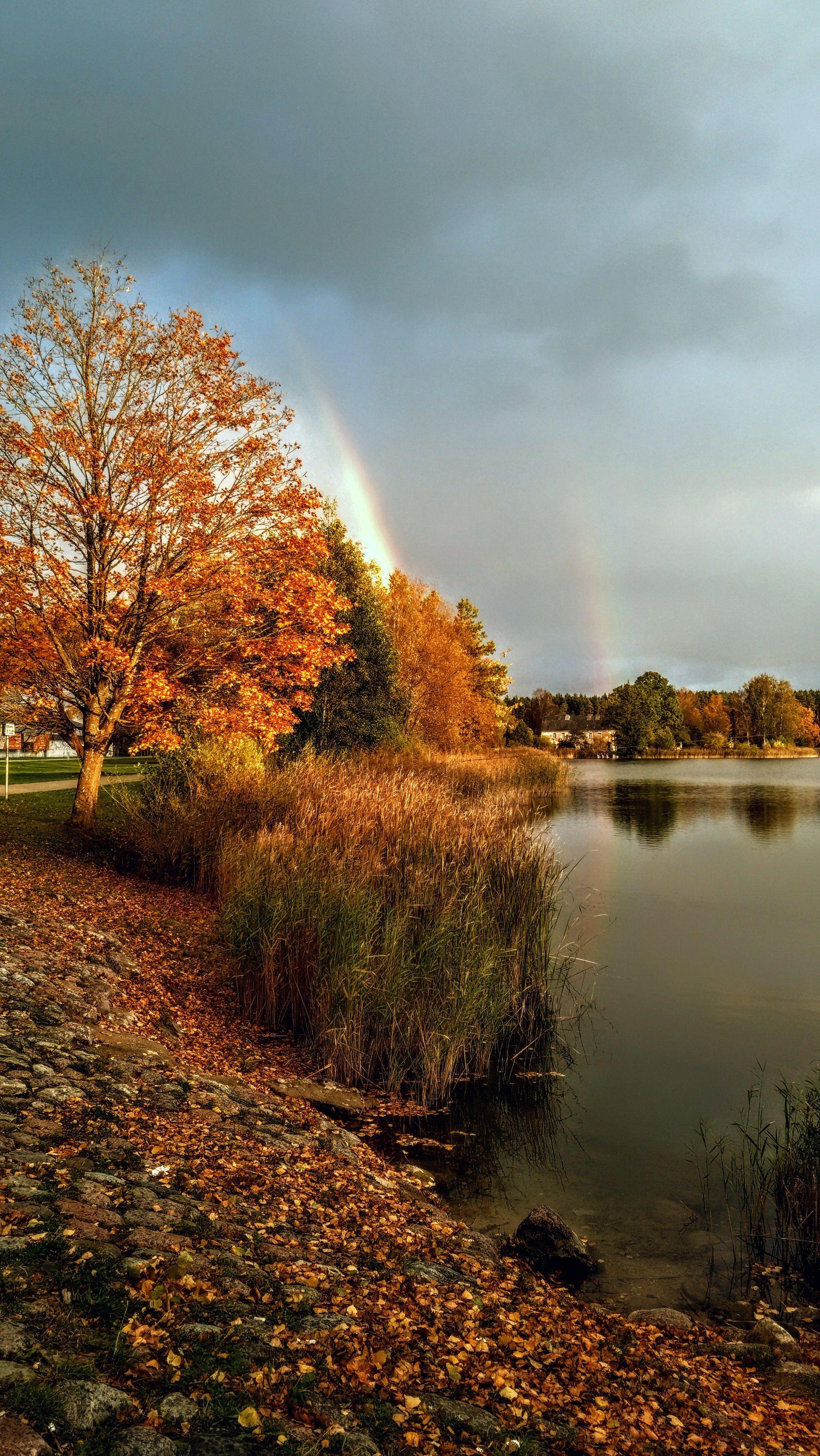 Enchanting Autumn Landscape with Rainbow Over Lake · Free Stock Photo