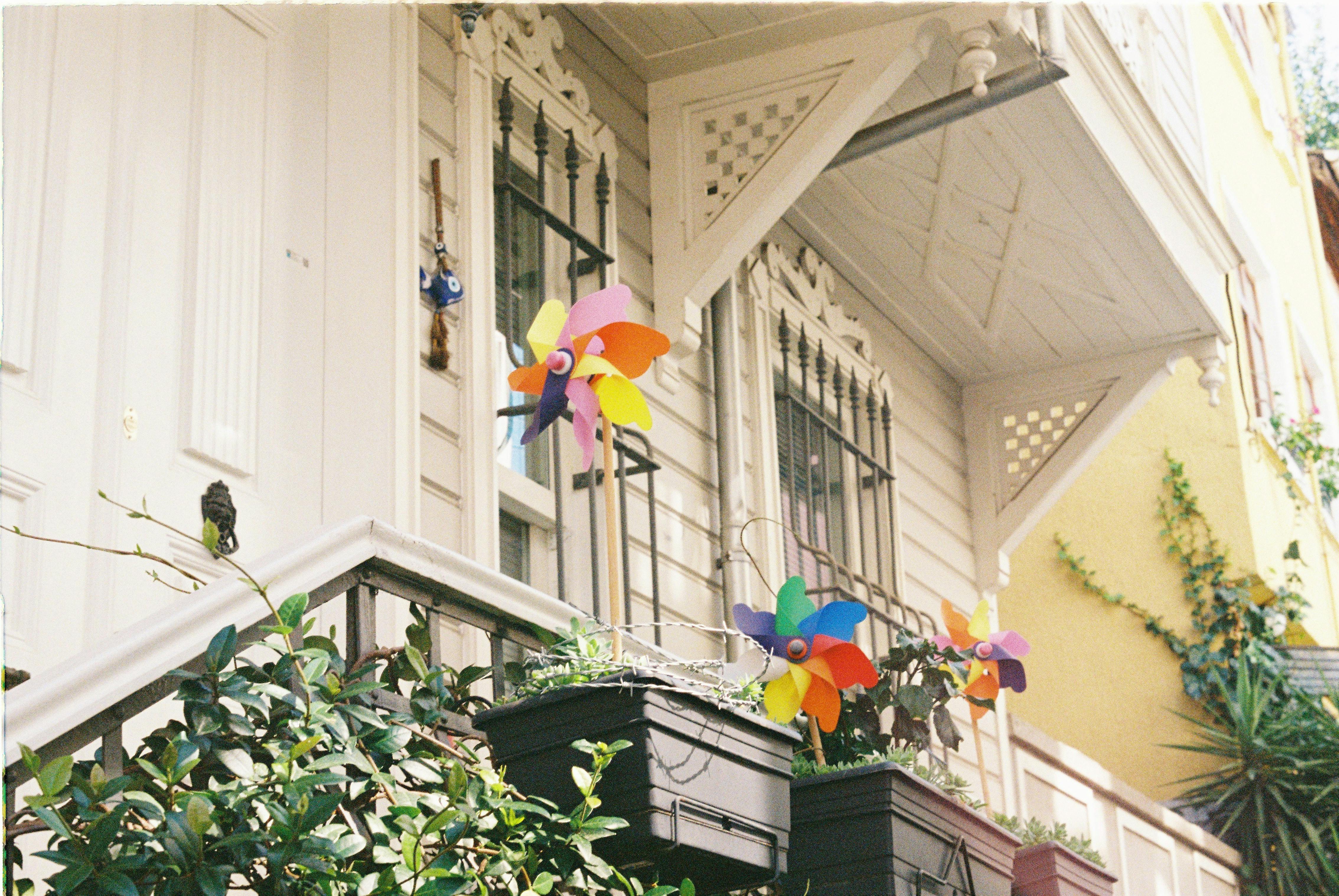 The White House has faced a flurry of rejections after inviting 9 universities to be the first signatories of its higher-ed compact