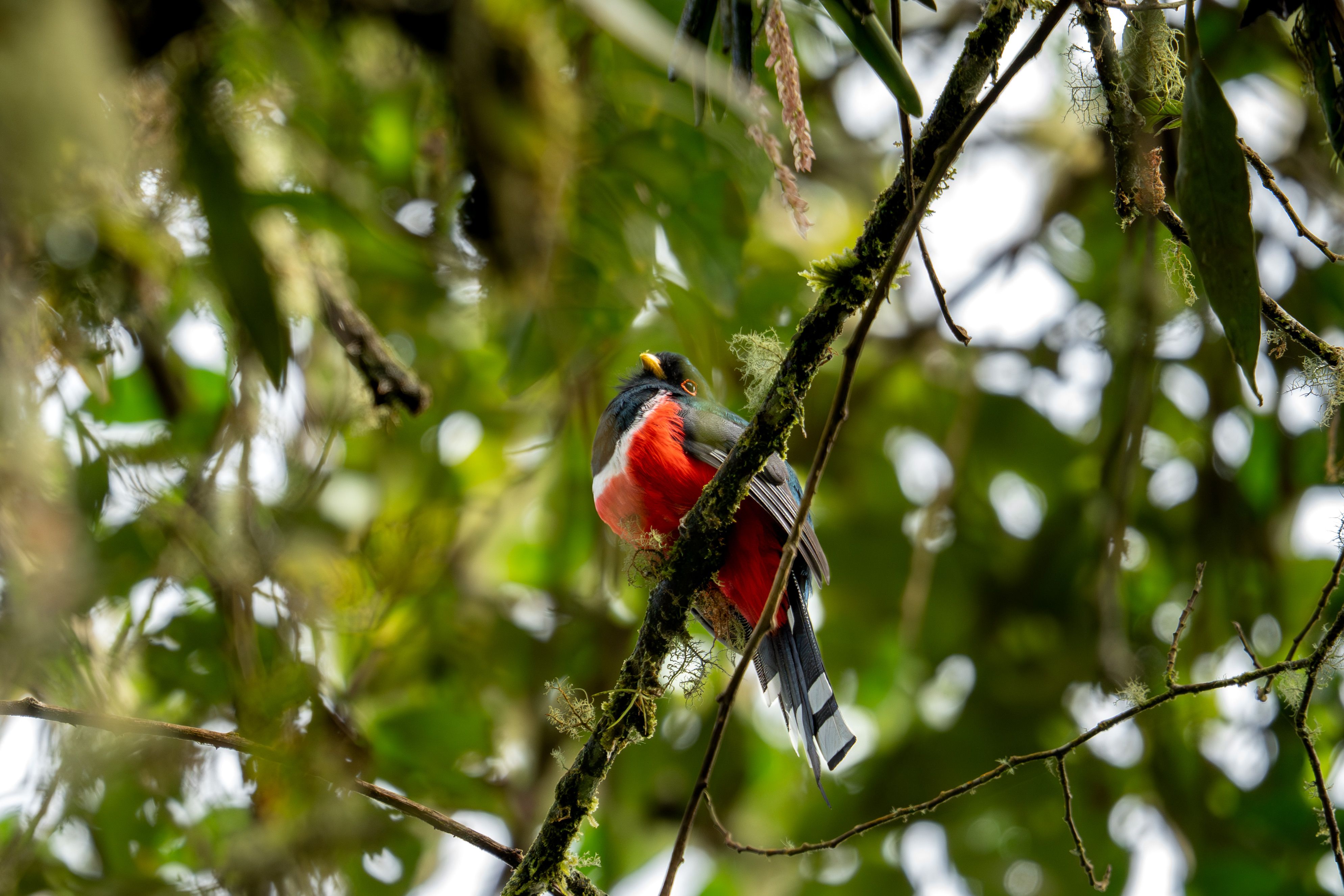 Randonnée Réserve Absoluta Cabo Blanco