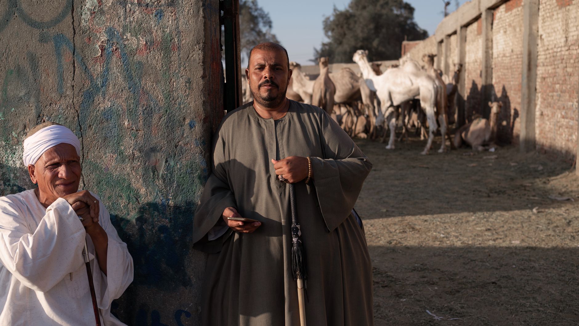 Egypt Economic Stabilisation: IMF Programmes and Private Capital