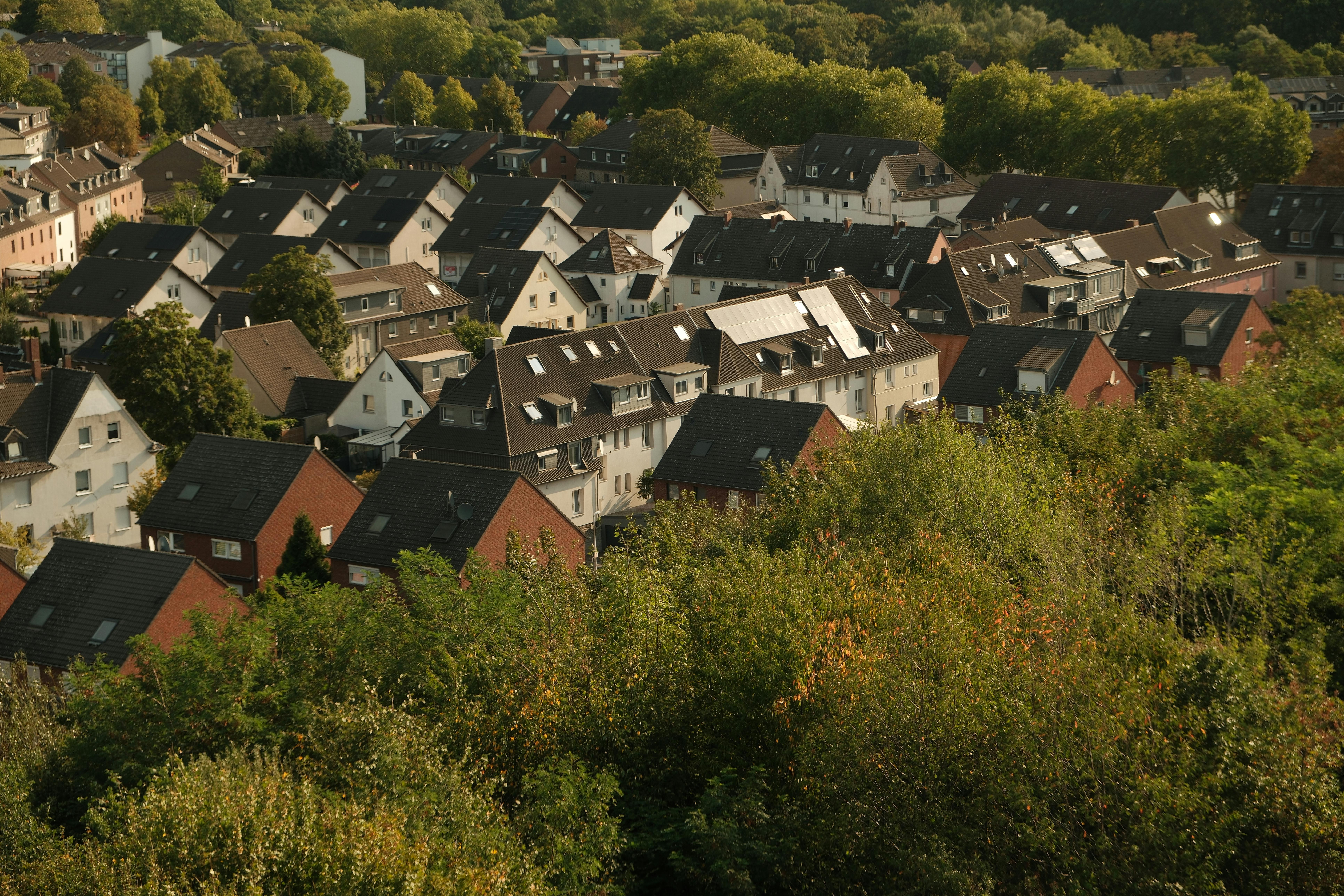 Uncovering Hidden Psychic Secrets: A Journey into the Mystical World