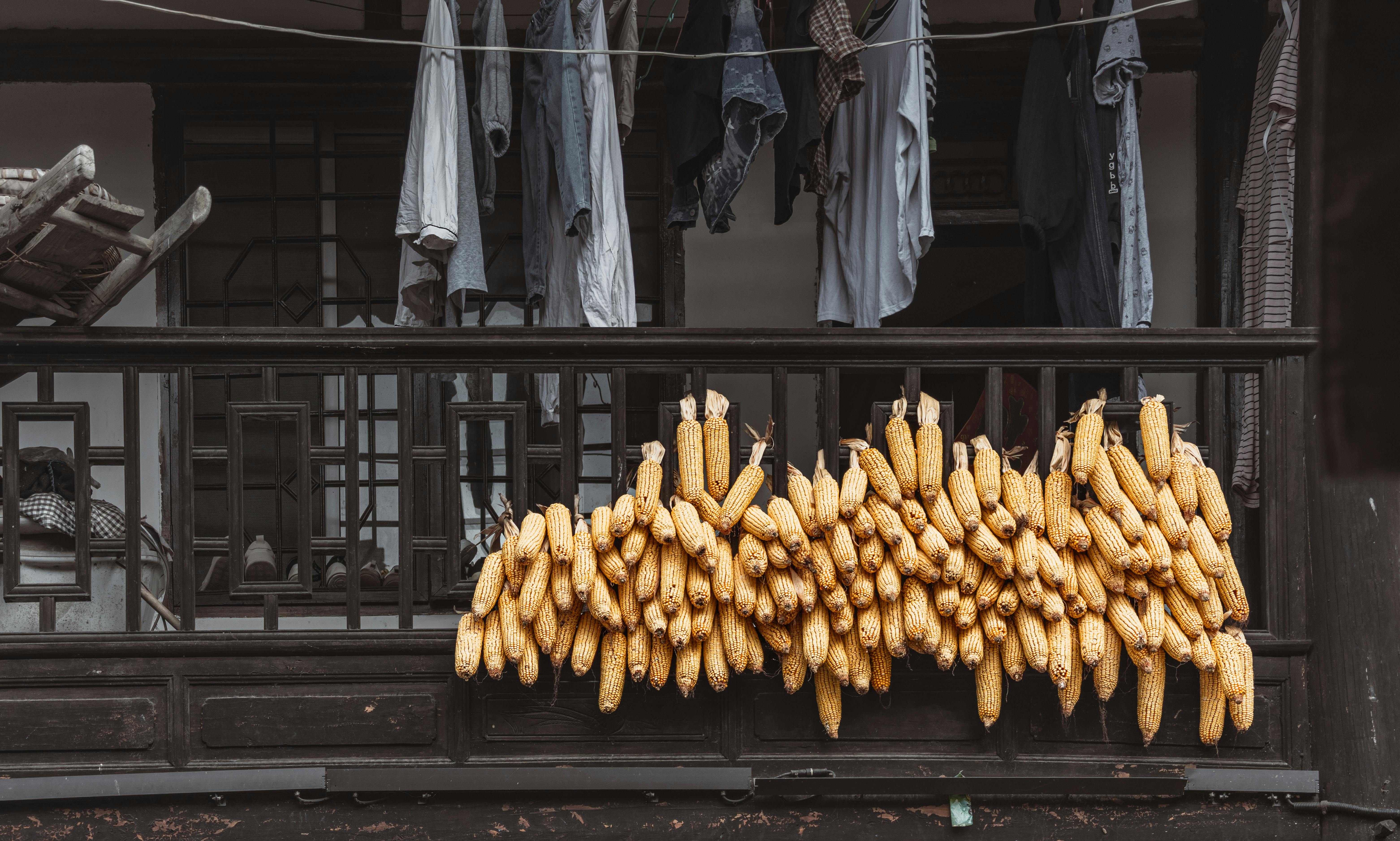 2025臺南美食之都國際餐飲挑戰賽432組好手激烈競技