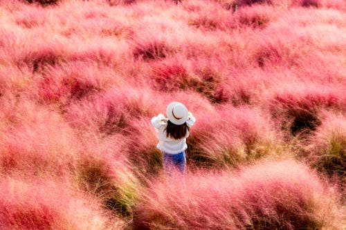 What Your Coat Color Says About Your Fall Mood