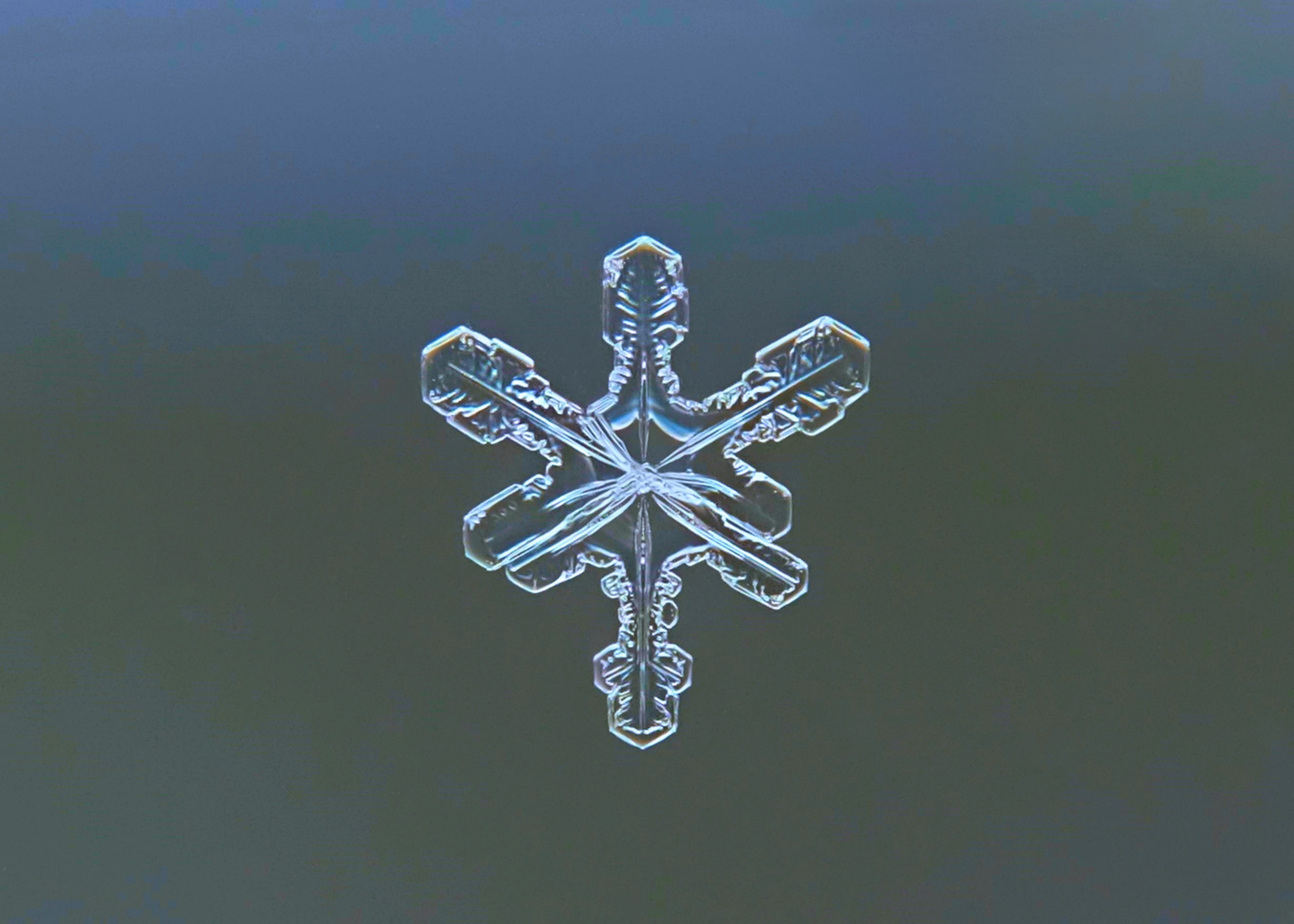 Captivating close-up of a snowflake showcasing its intricate crystalline structure against a dark backdrop.