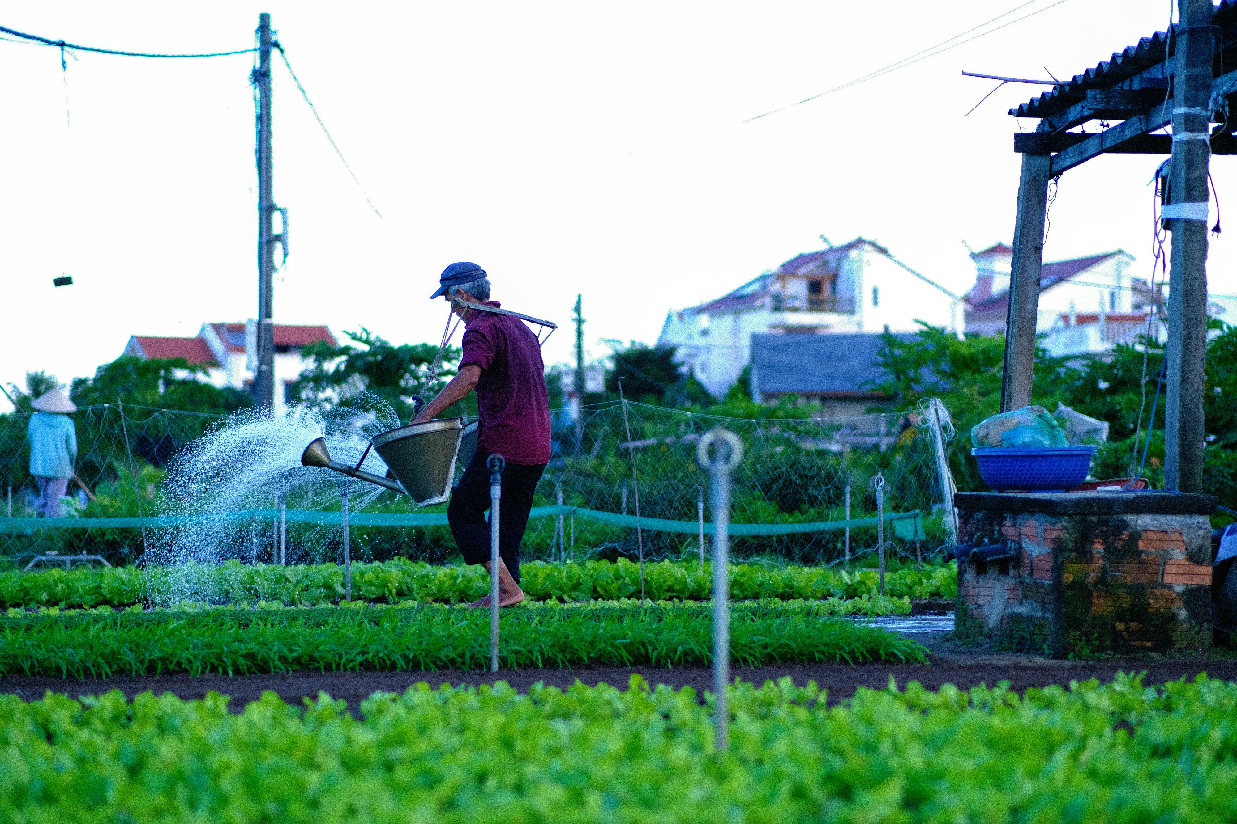 Trung tâm nghiên cứu văn học, phát triển nhà văn Việt Nam