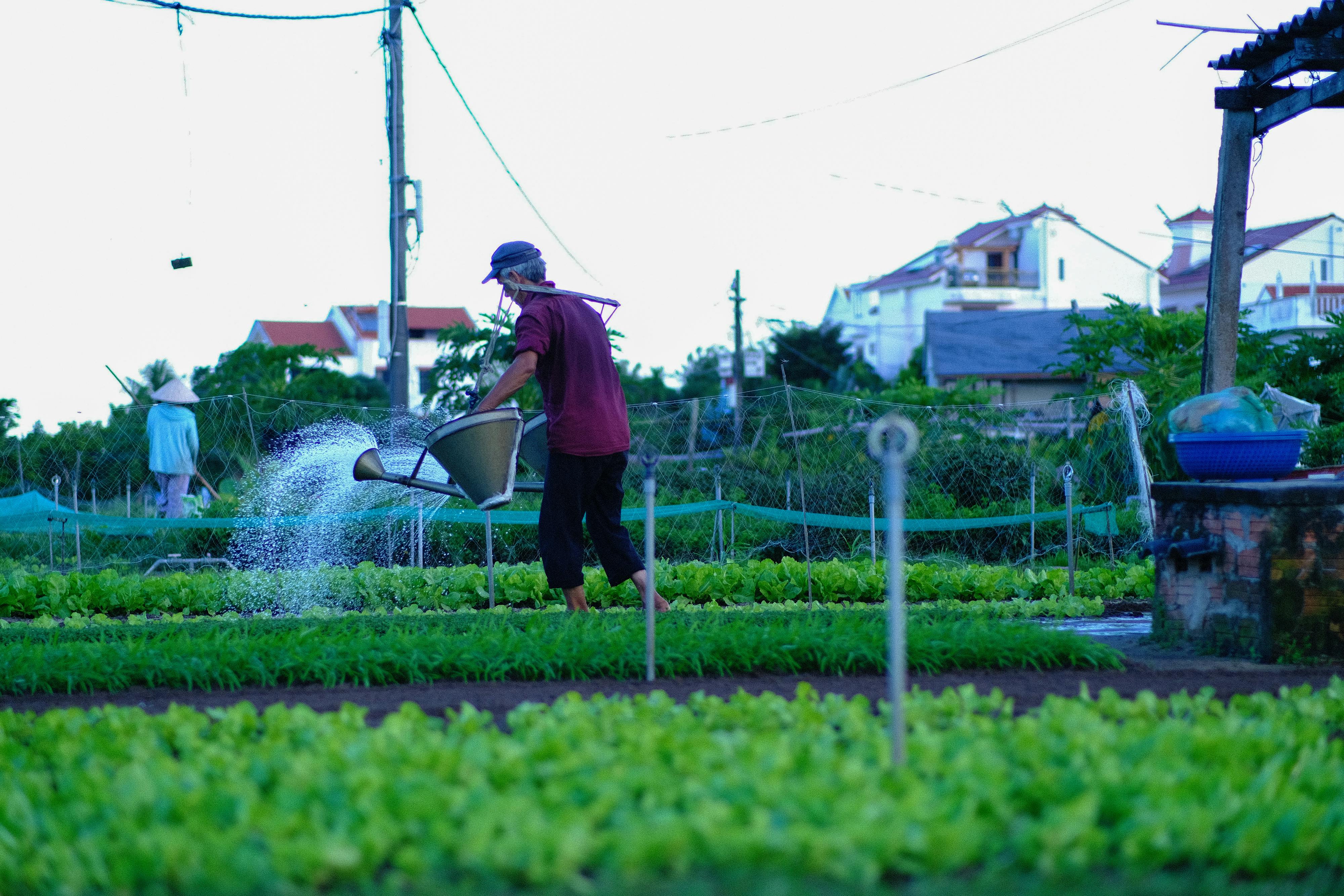 Trung tâm nghiên cứu văn học, phát triển nhà văn Việt Nam