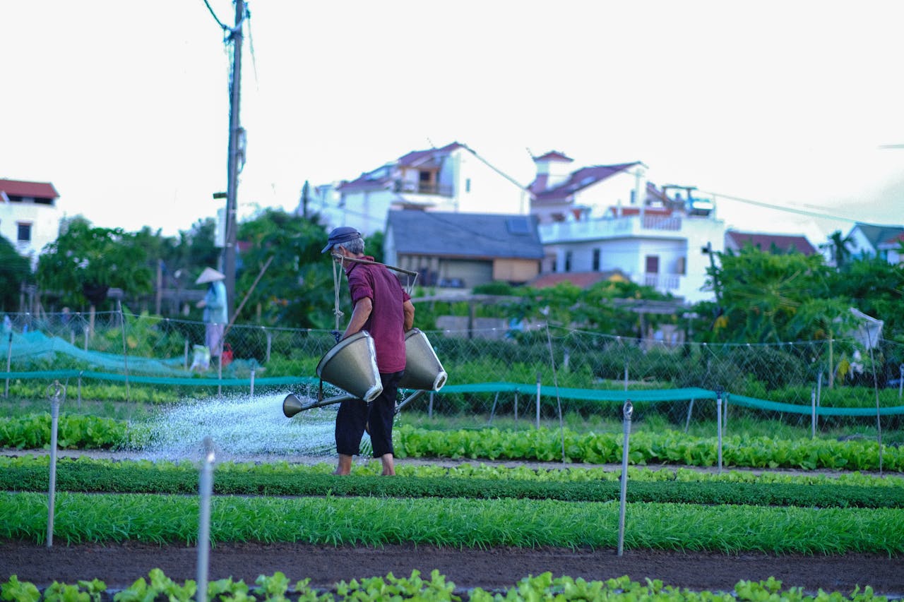 Chim lửa | Chương 37