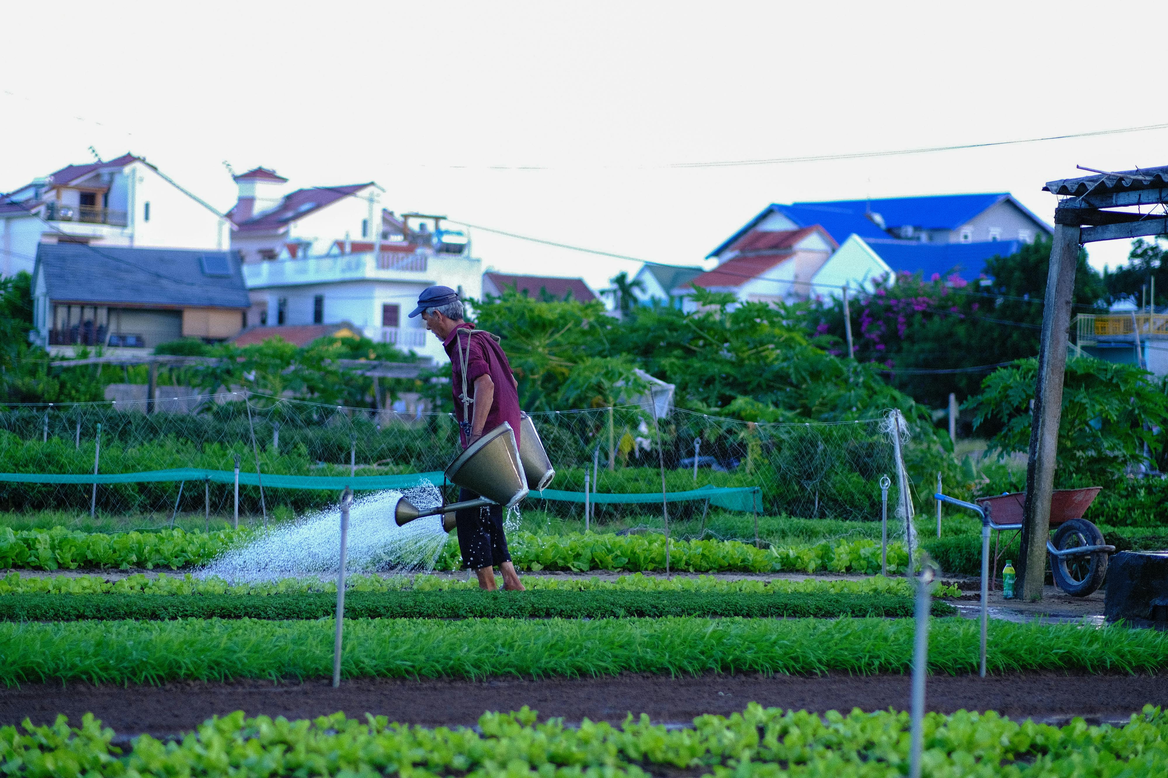 Danh sách theo thẻ phoenix