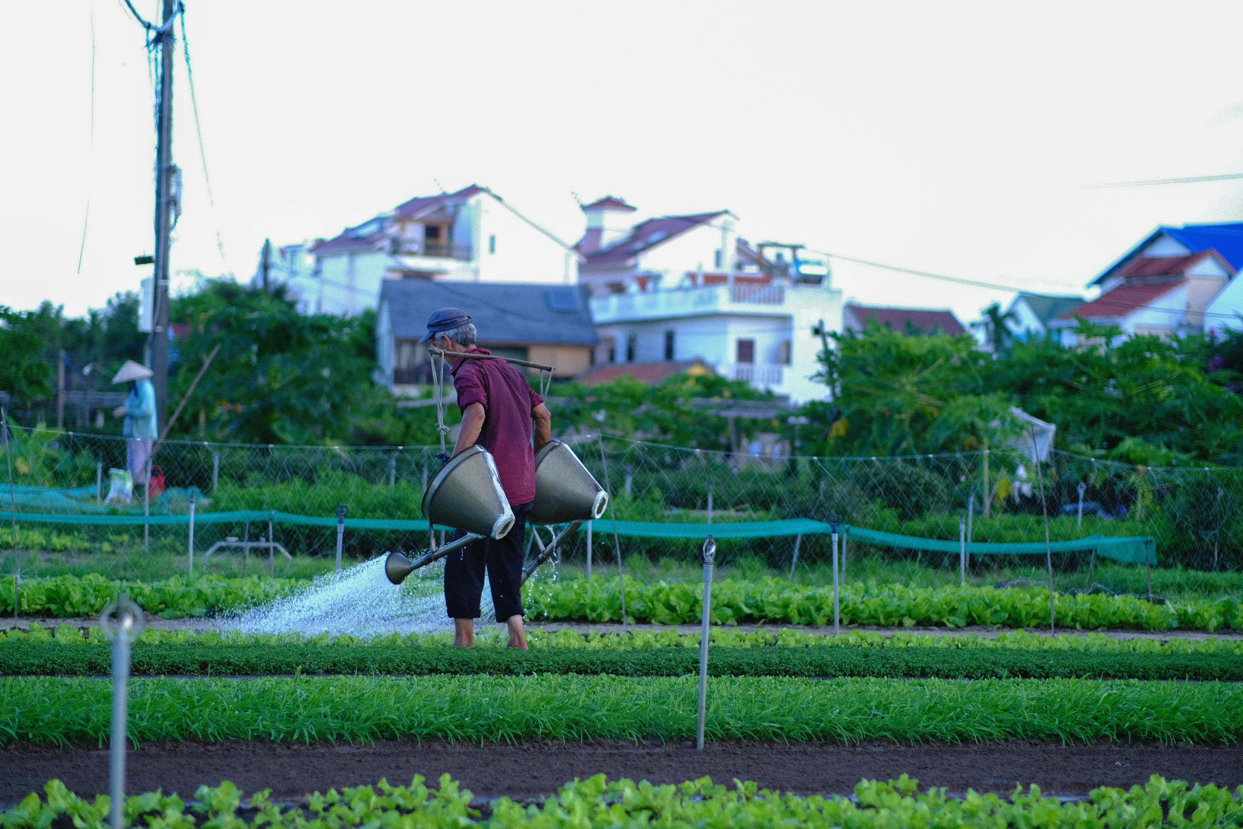 Trung tâm nghiên cứu văn học, phát triển nhà văn Việt Nam