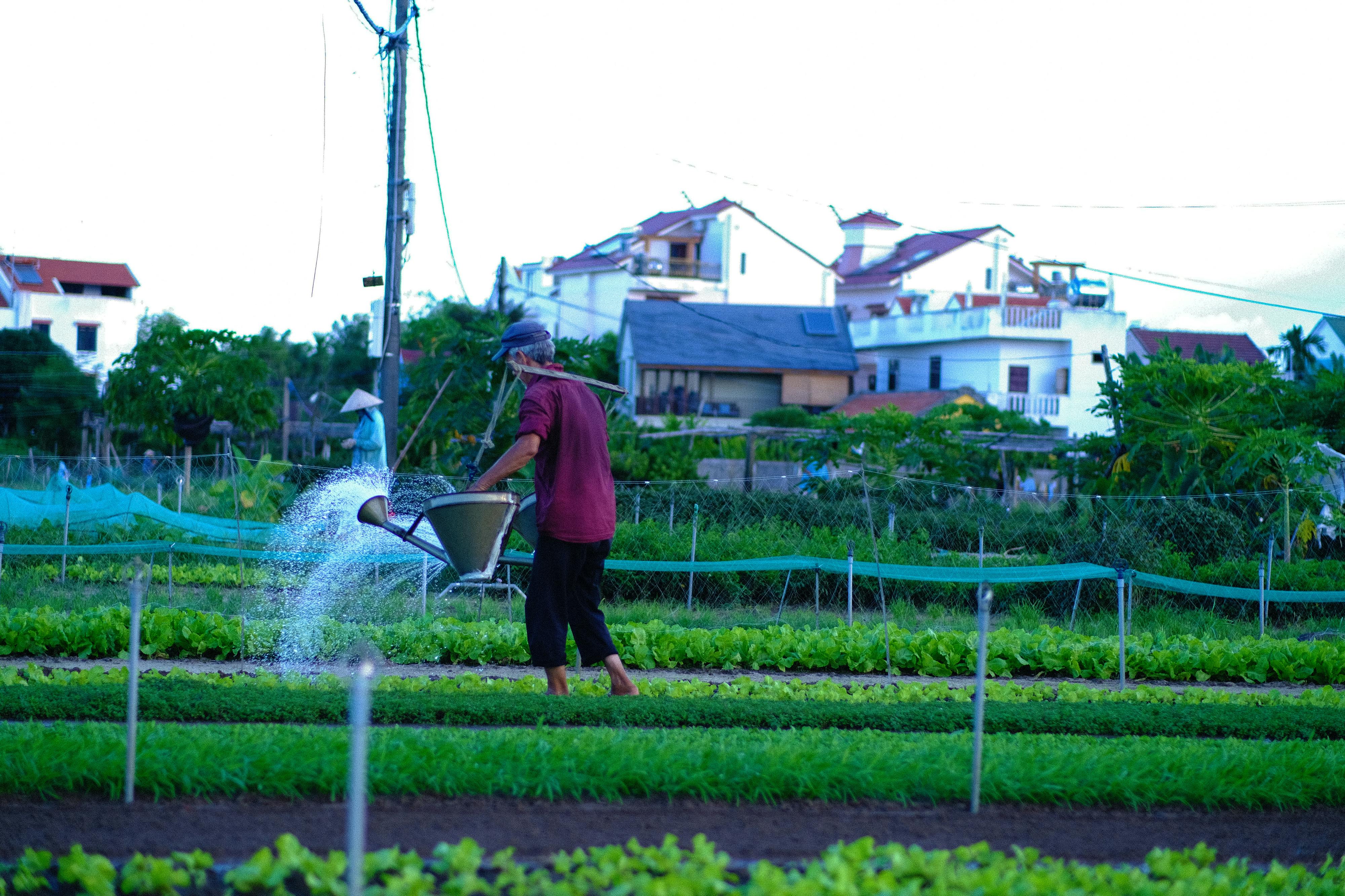 Trung tâm nghiên cứu văn học, phát triển nhà văn Việt Nam