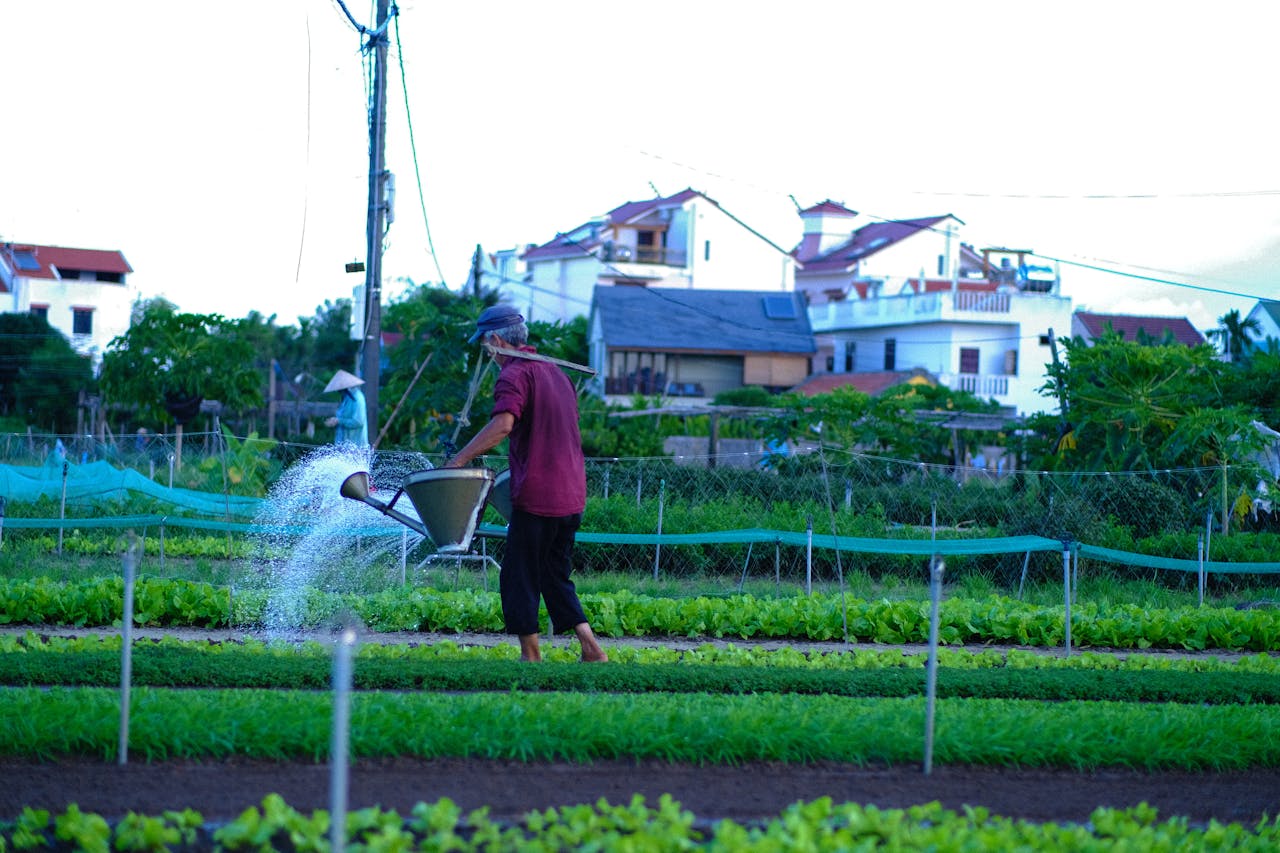 Động vật quanh nhà cũng không đi xa như bạn