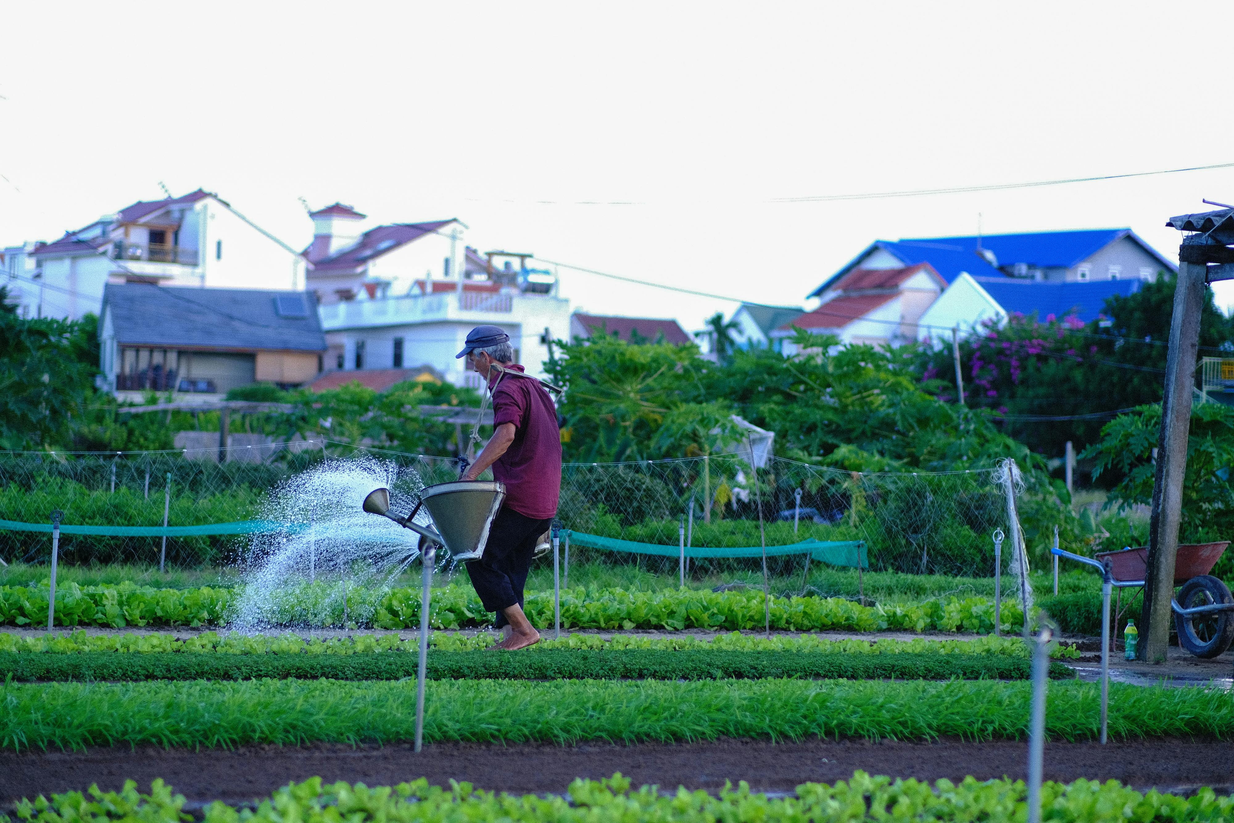 Truyện chàng Hoichi cụt tai 804 – thu vien, van hoc, van hoc nhat ban, tuy but, hirai teiichi, chuyen chang hoichi cut tai, chuyen chang hochi cut tay.