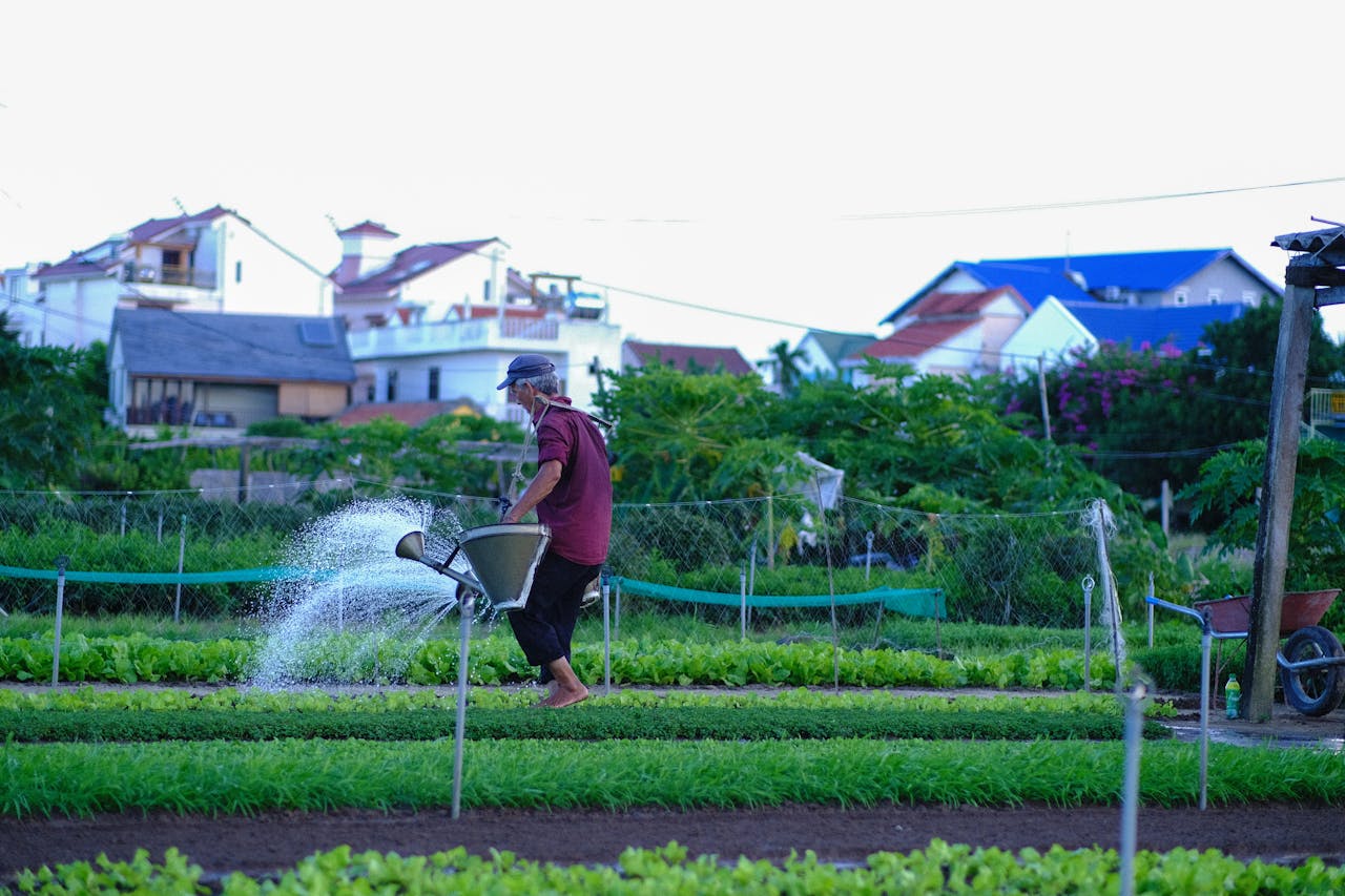 Lý thuyết về sự ngu dốt của Bonhoeffer