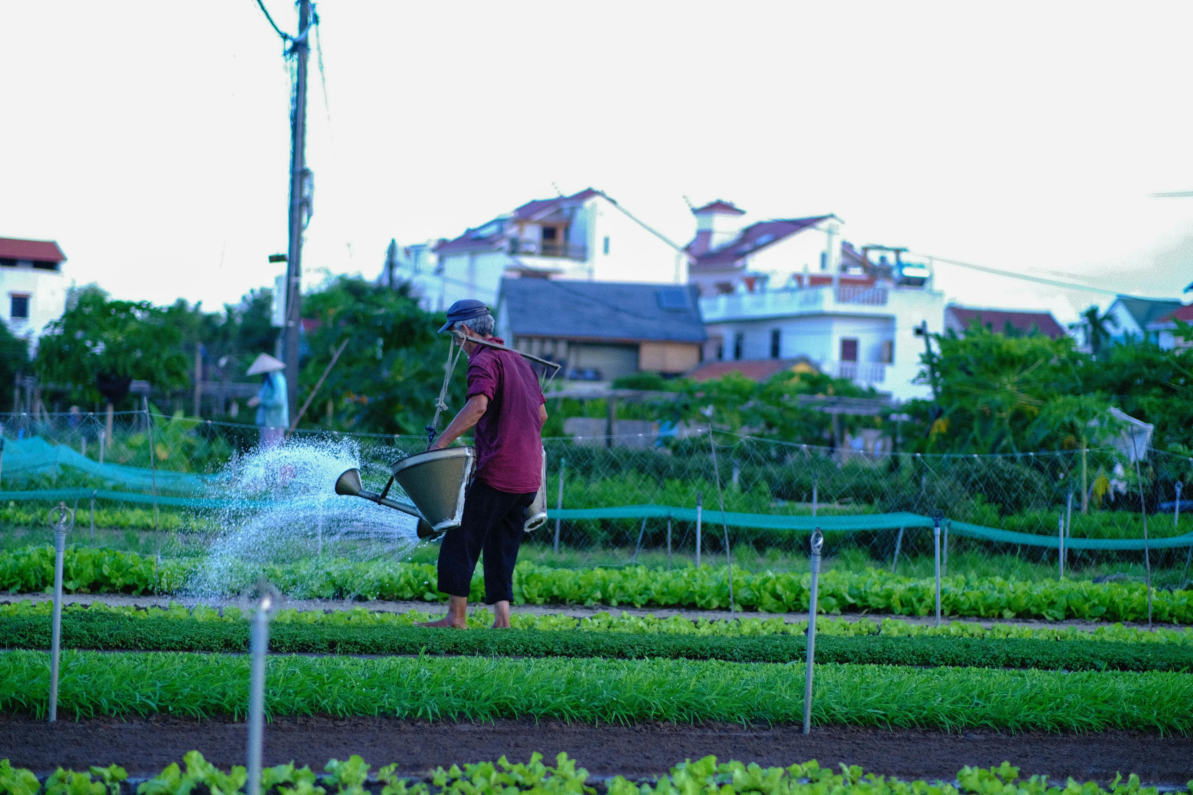 Edgar The island of the fay