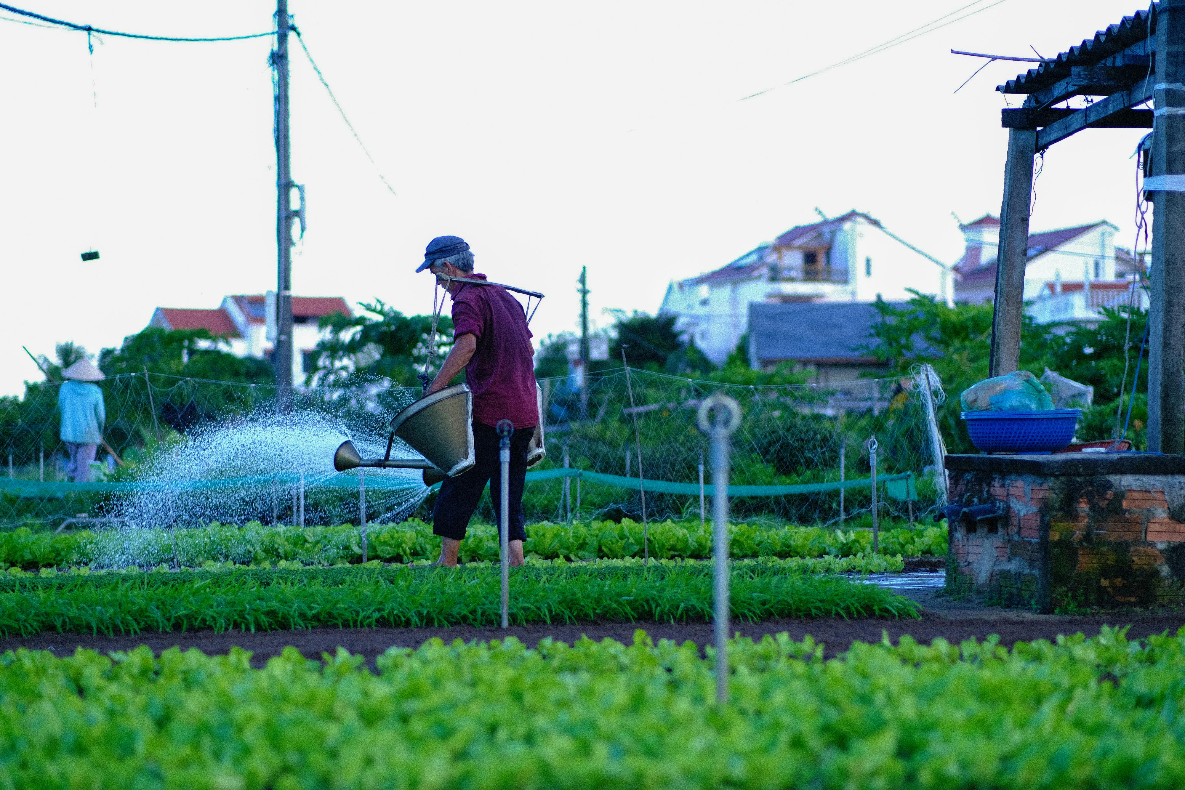 Trung tâm nghiên cứu văn học, phát triển nhà văn Việt Nam
