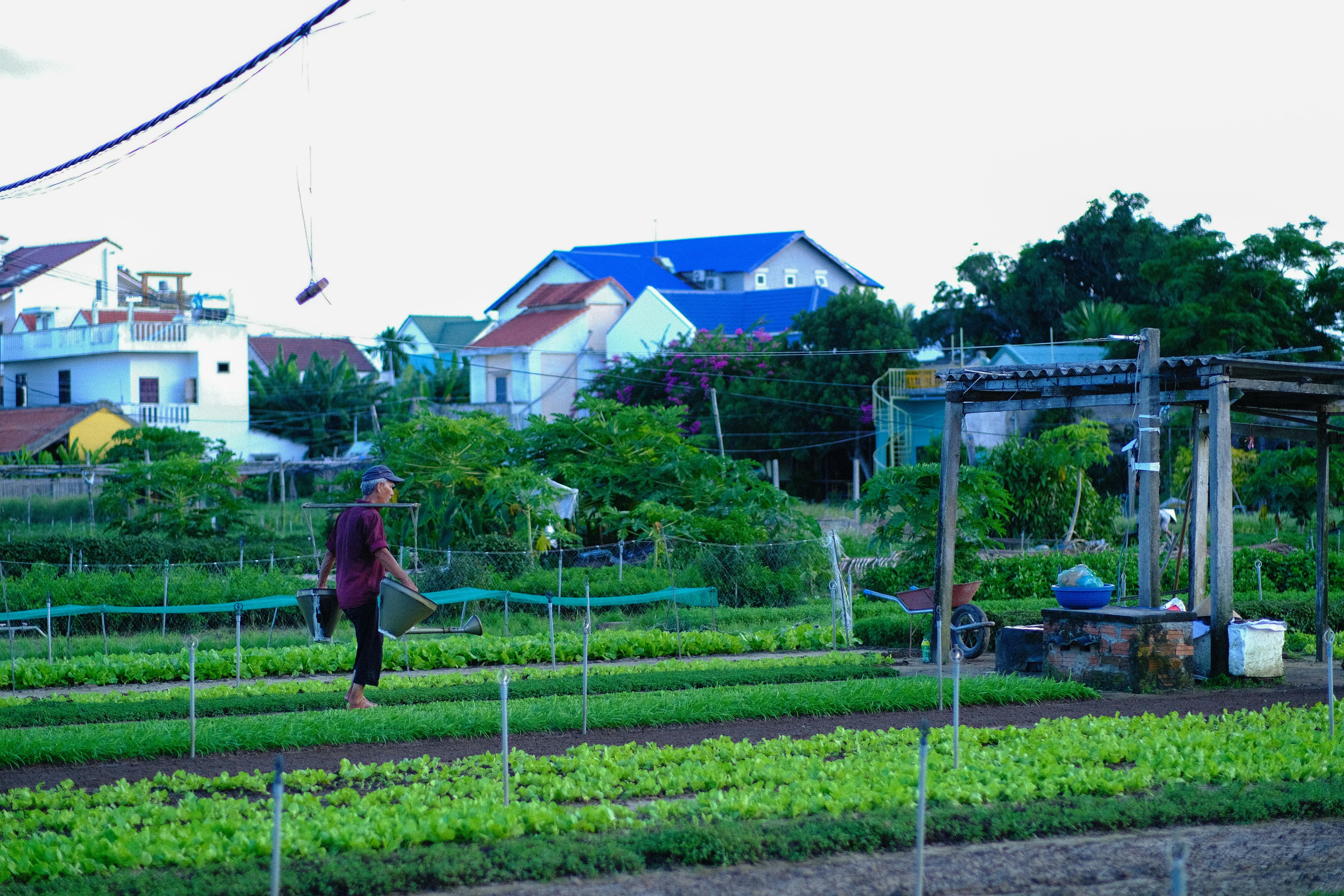 Làm thế nào để sử dụng ký sự để kể chuyện cuốn hút? 520 – ky su, viet lach, van hoc, noi dung truc tuyen, ki thuat viet, tac gia, ke chuyen, cam hung viet, chan thuc, gan gui, cam xuc, content seo, ky su cuon hut.