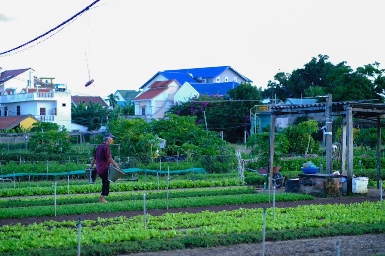 Thám tử lừng danh Conan | Chương 0946