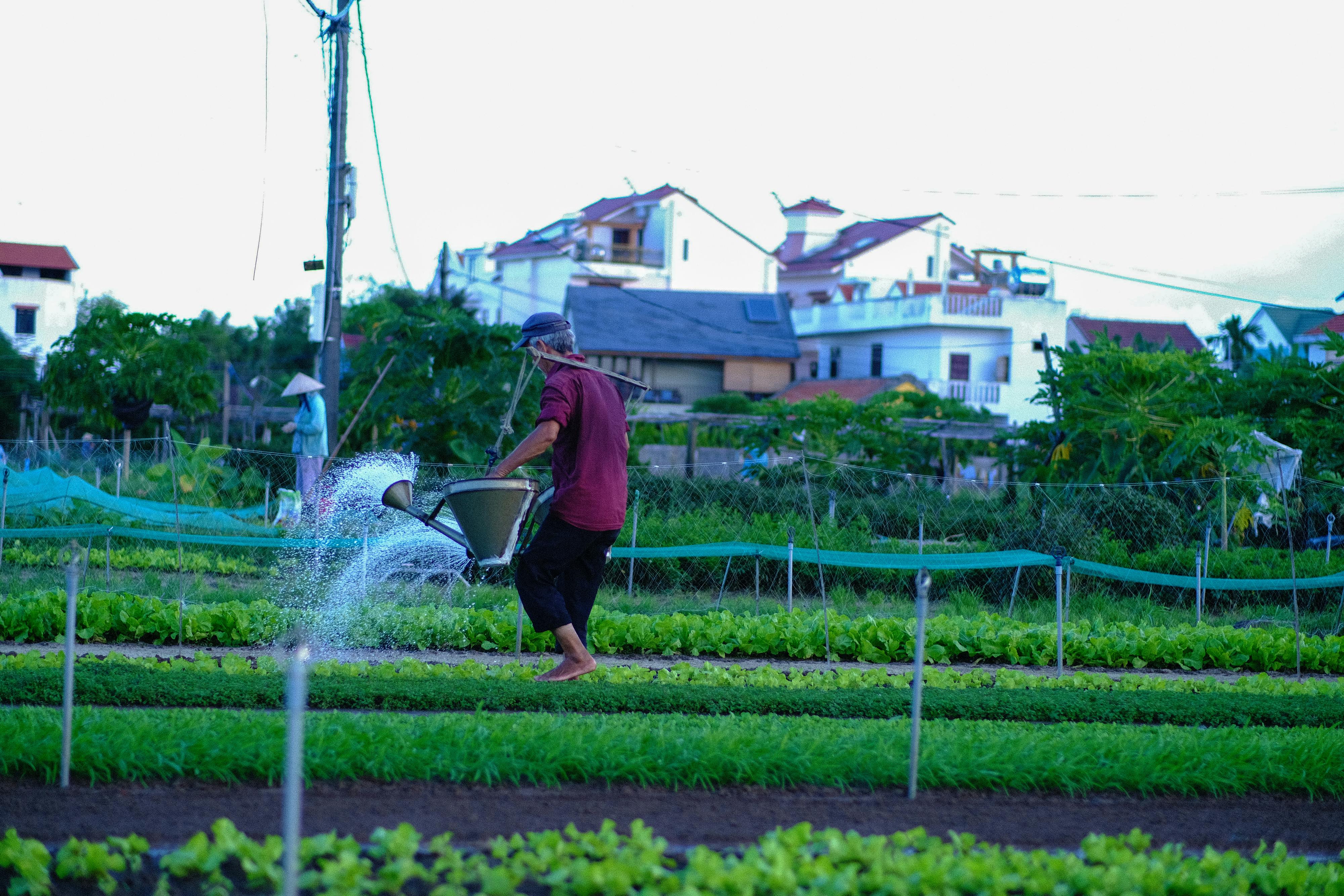 Ỷ thiên đồ long ký | Chương 17